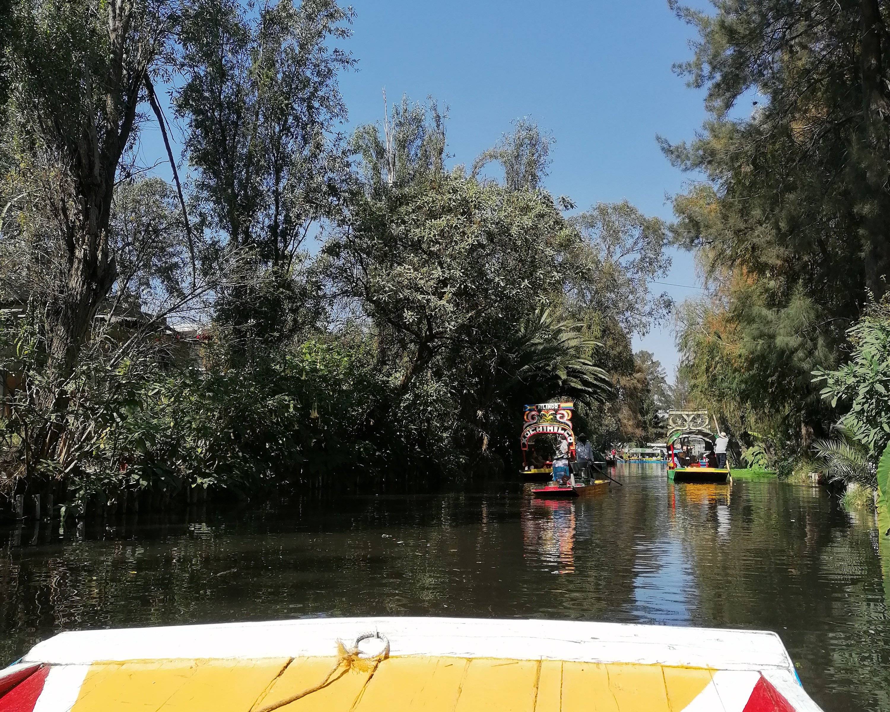 Les jardins flottants de Xochimilco