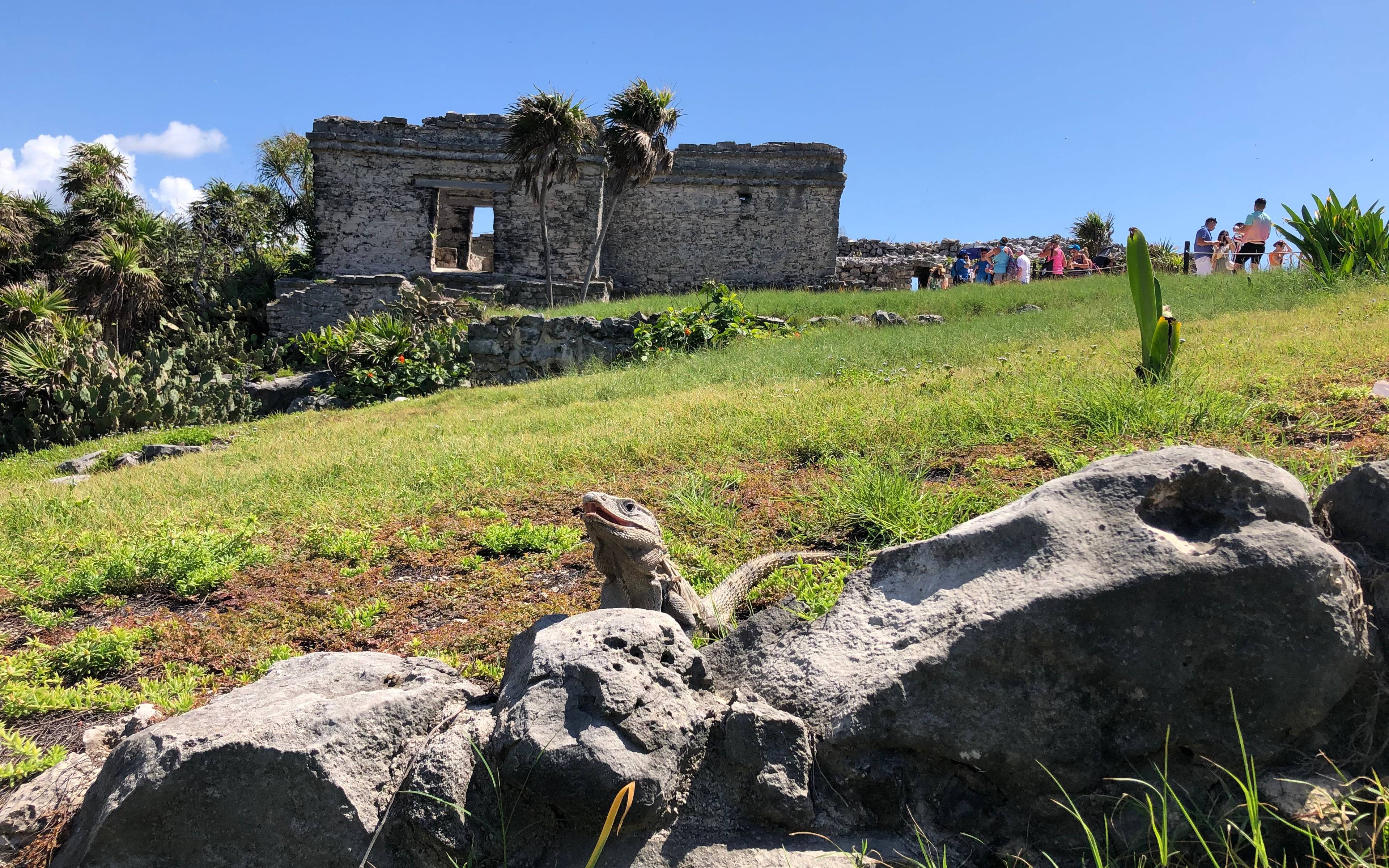 La ville bohème de la Riviera Maya