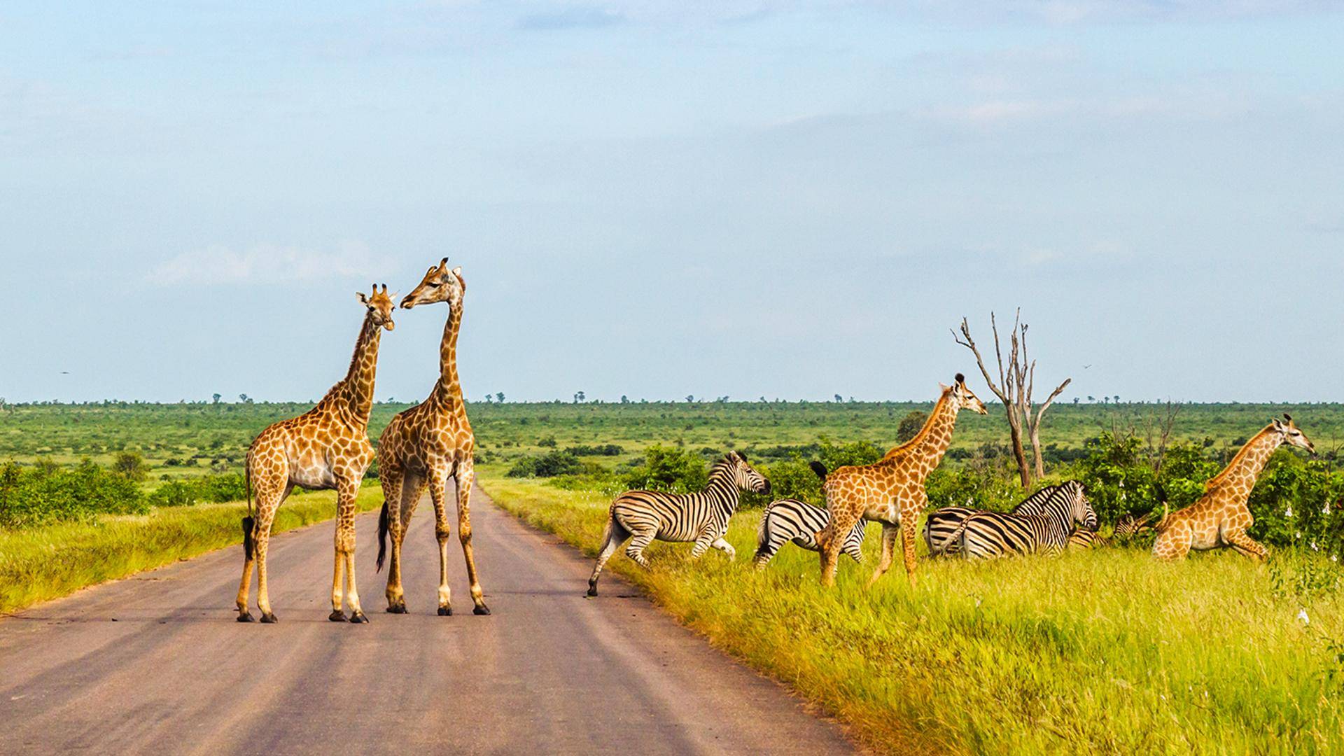 Panorami e safari nella provincia di Limpopo