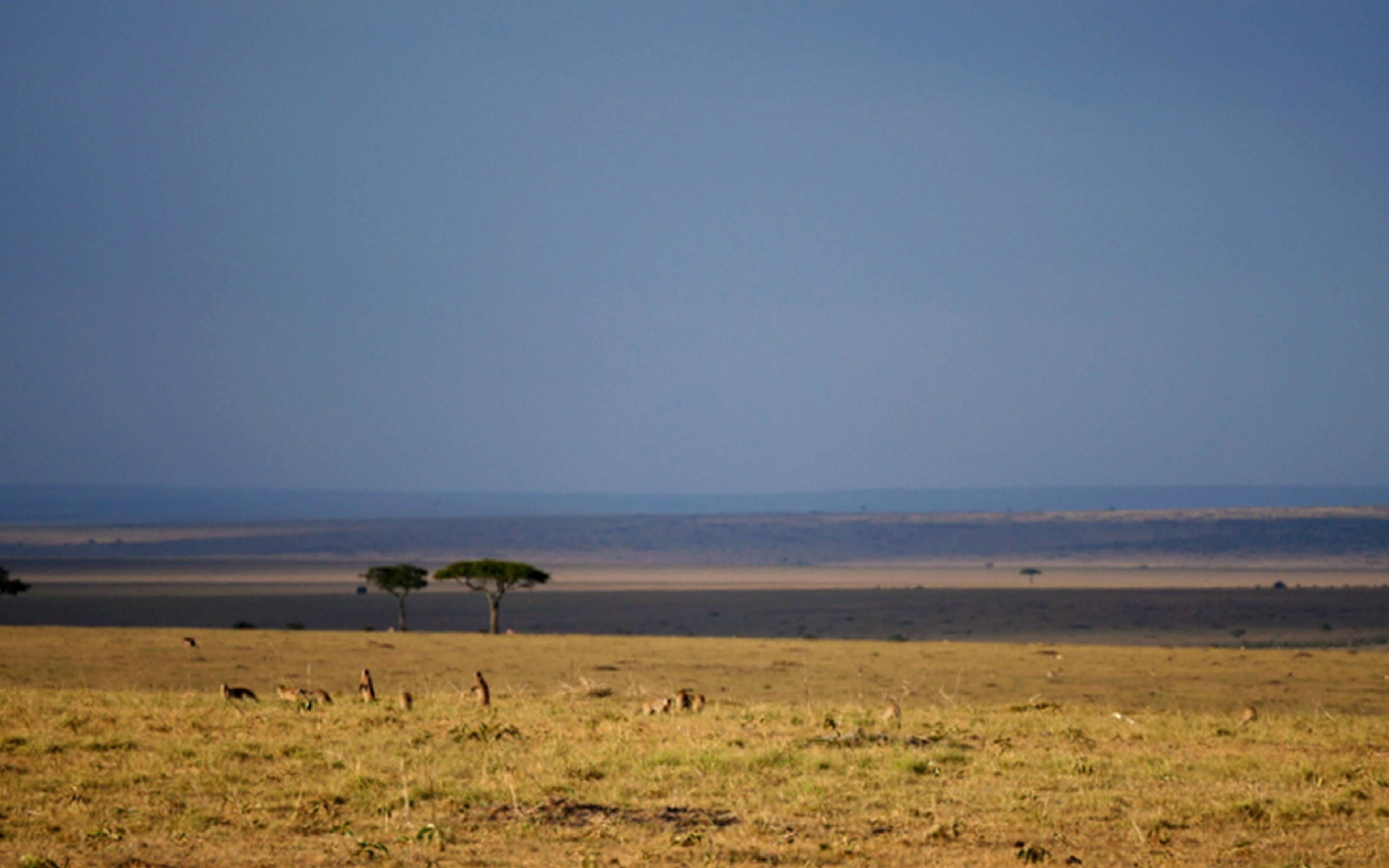Vers les vastes plaines du Masai Mara