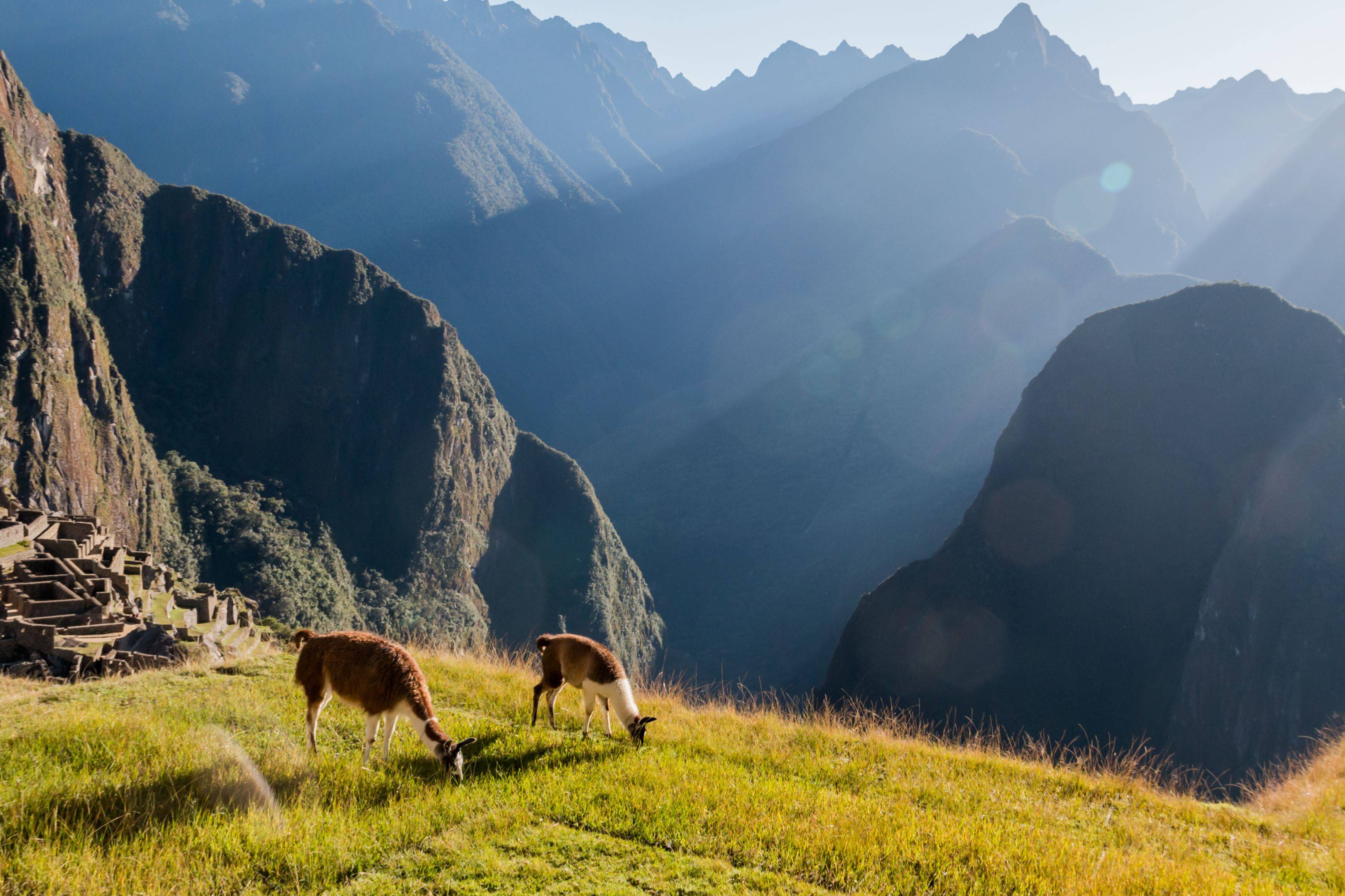Visite guidée du Machu Picchu
