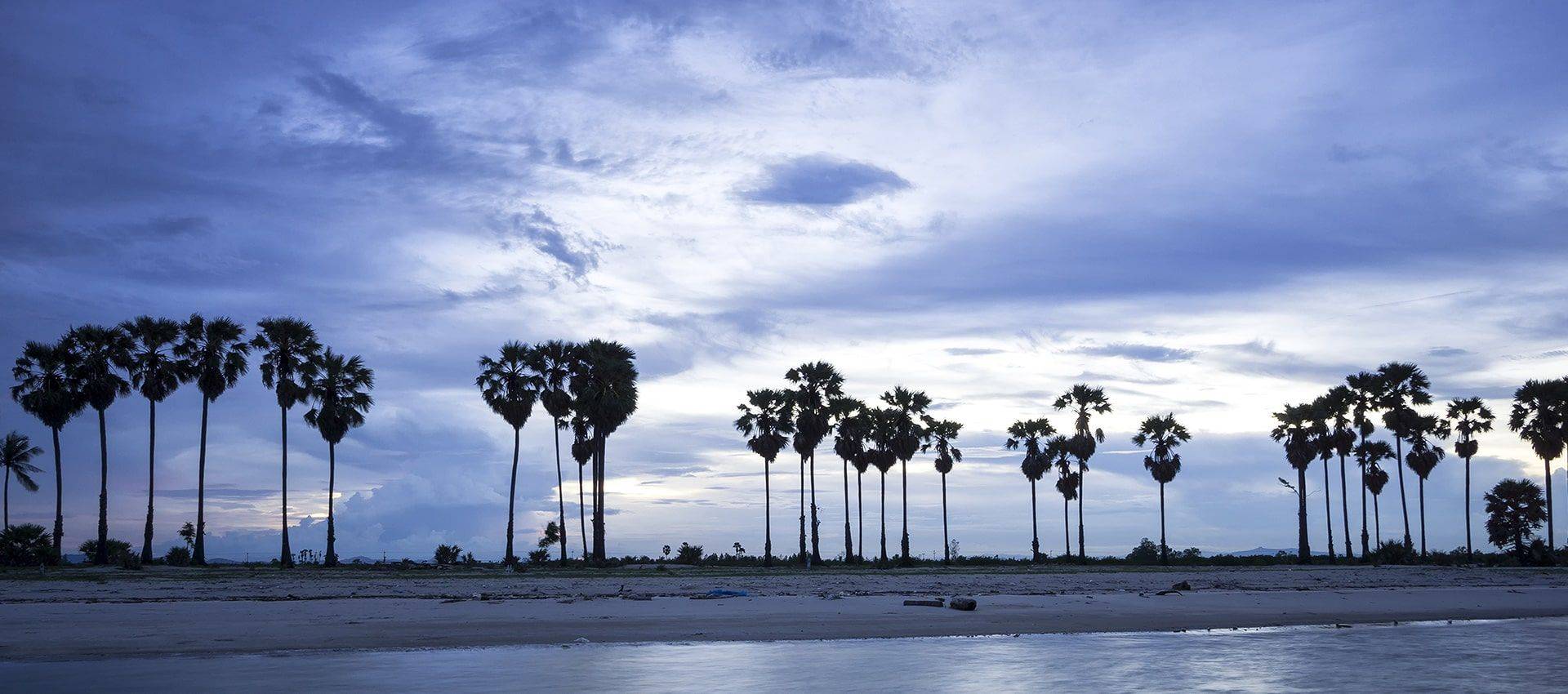 Giornata relax sulla penisola locale di Jaffna