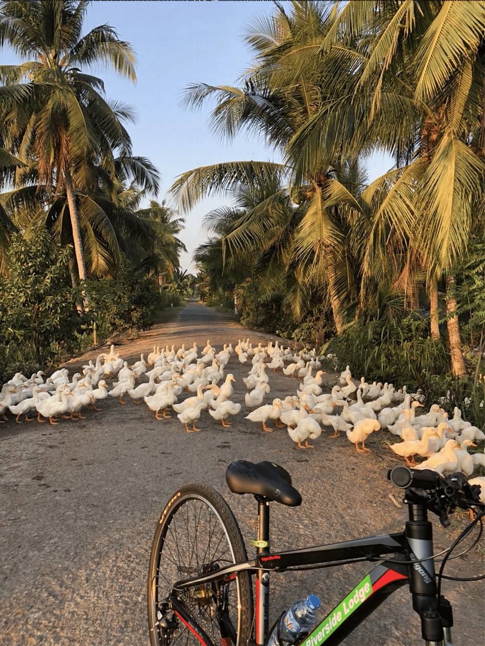 Fahrradtour im  Mekong Delta