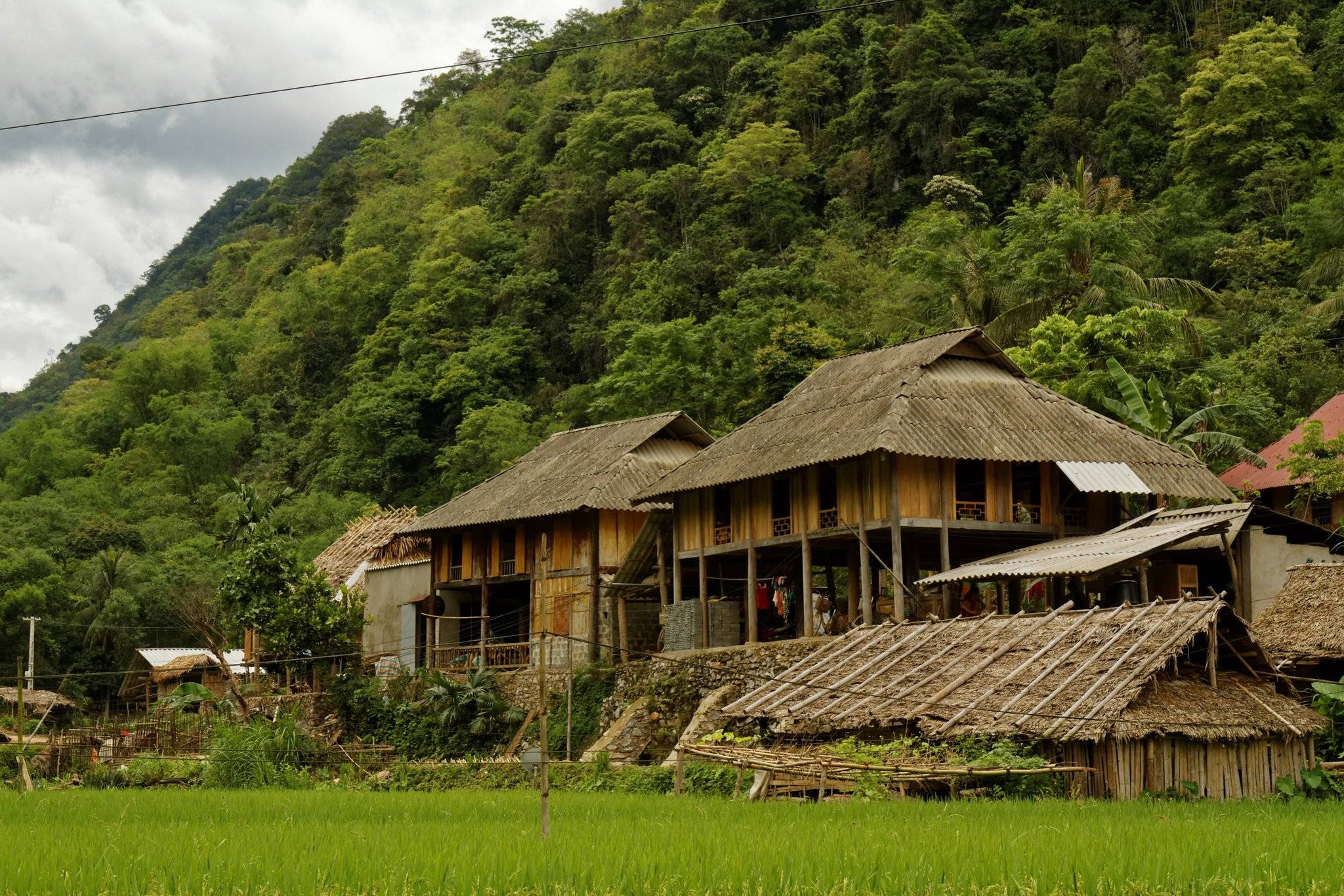 Wanderung im Pu Luong Naturreservat