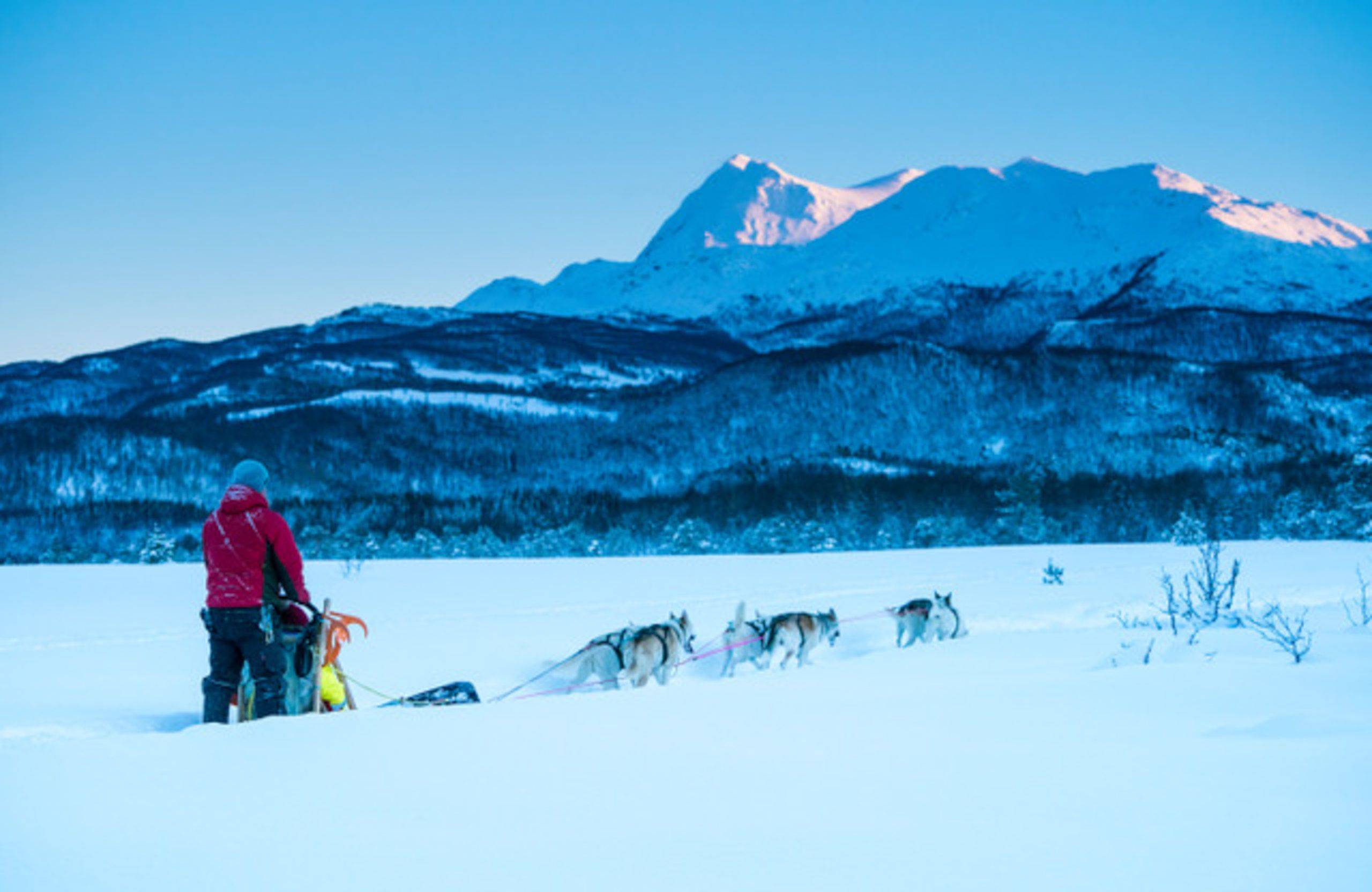 In slitta con i cani caccia dell'aurora boreale