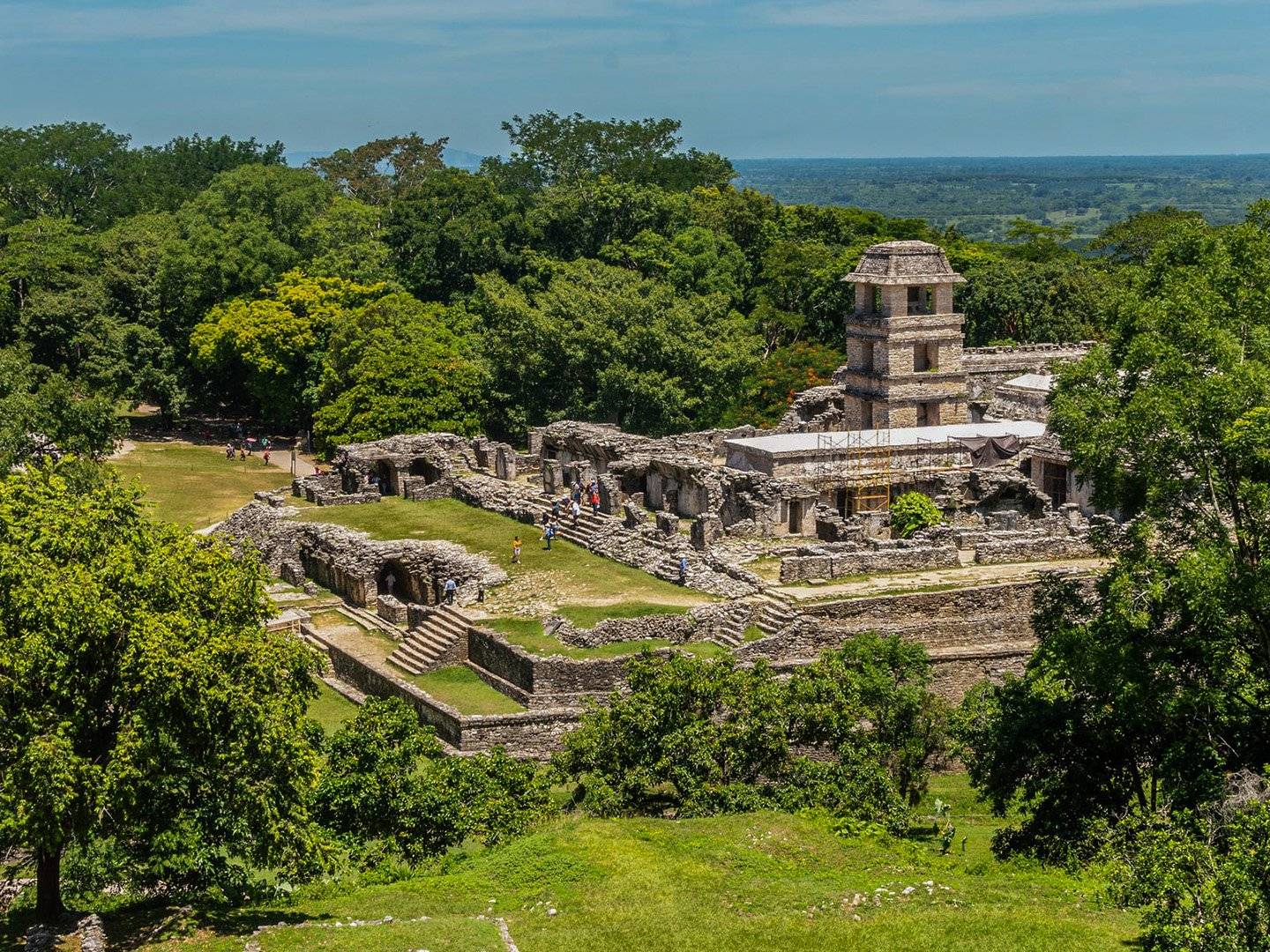Incursion dans la jungle Maya