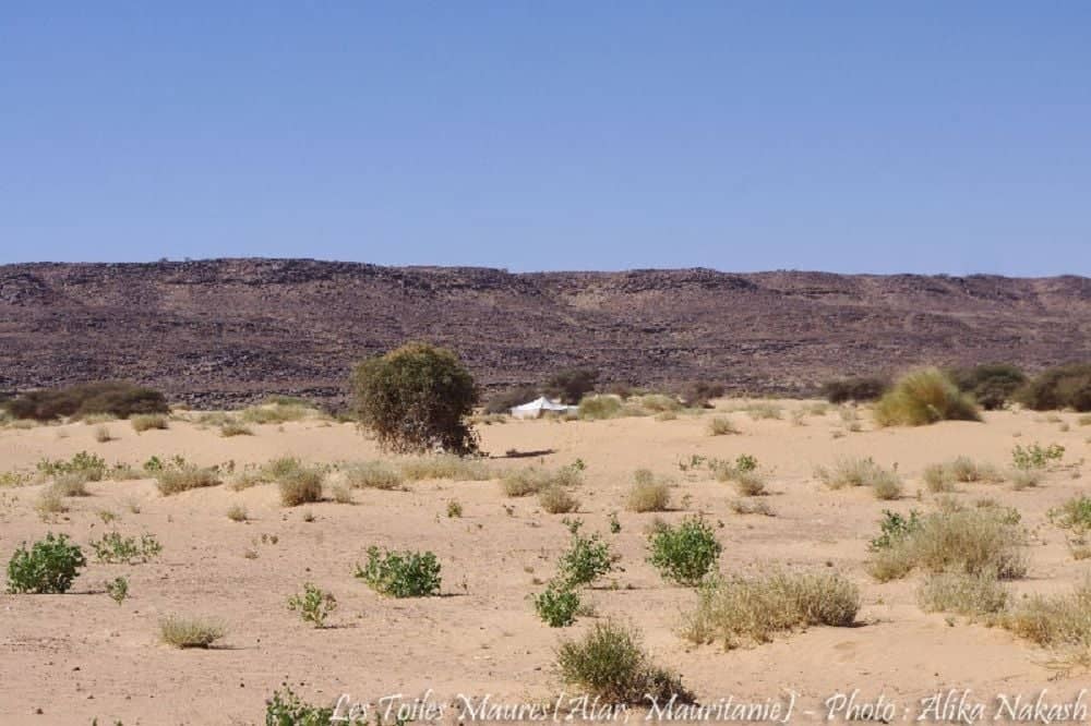 Descente vers le campement nomade à Oued Irat