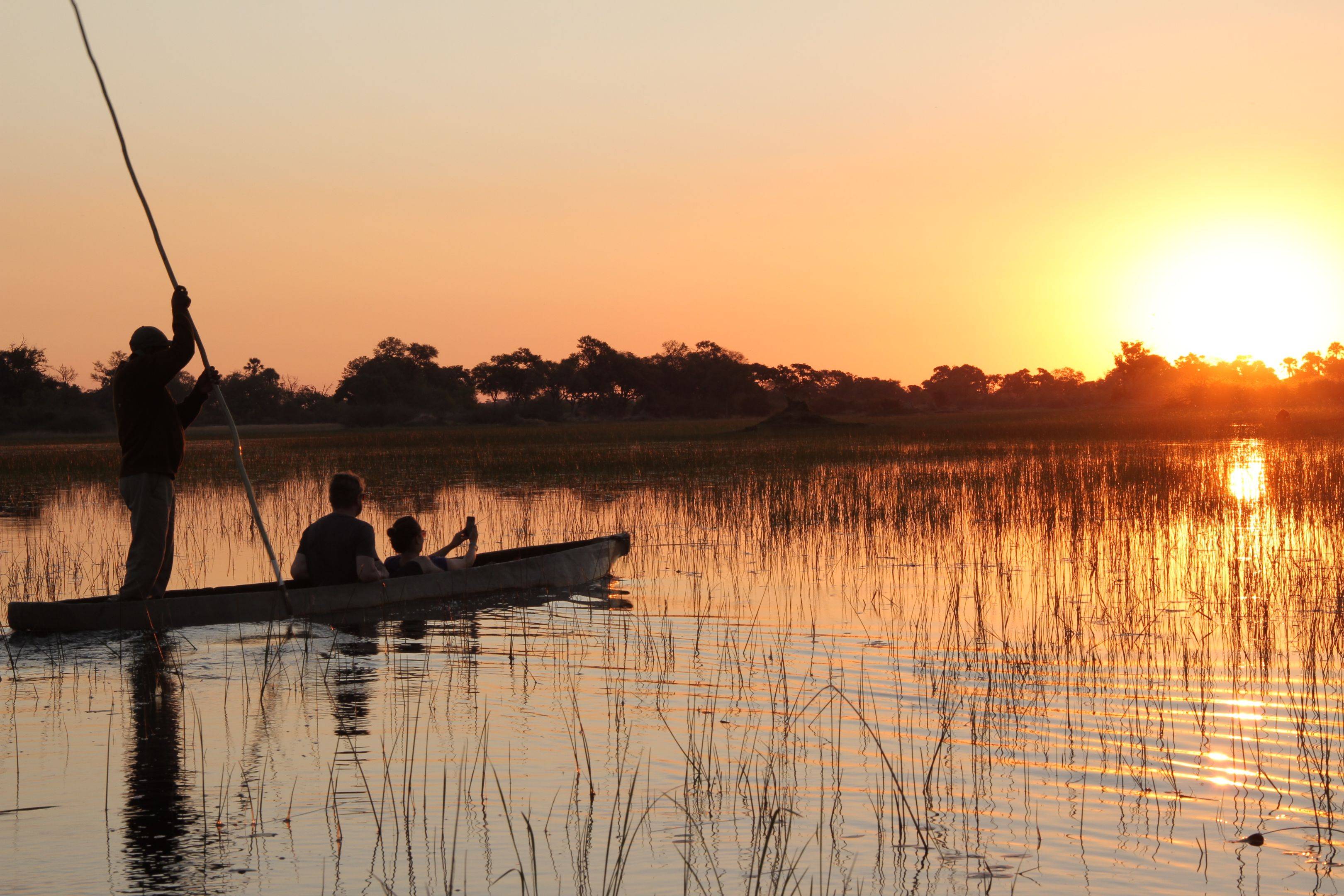 Die Pflanzen- und Tierwelt im Okavango Delta