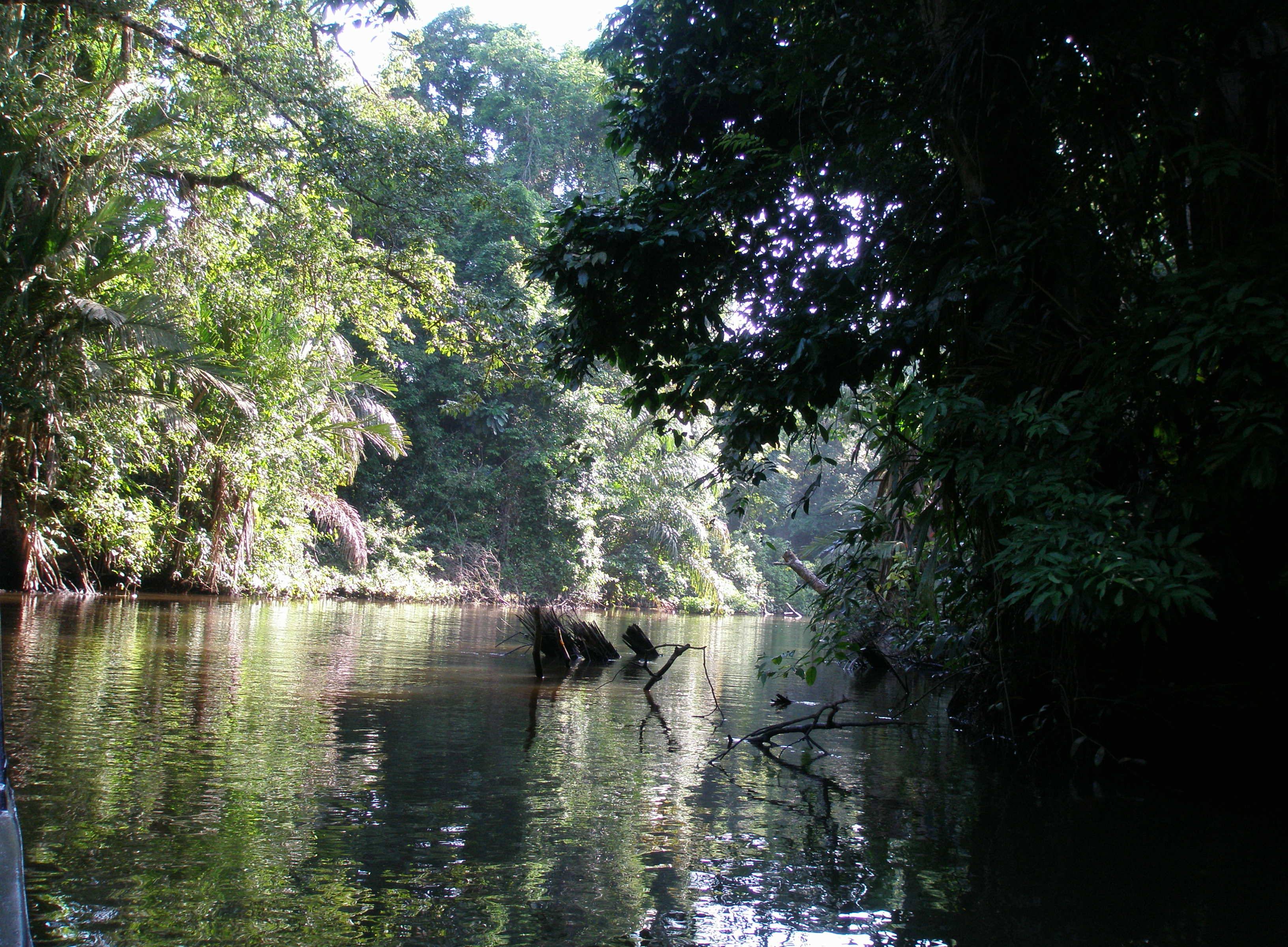 Escursione in barca nei canali del Parco