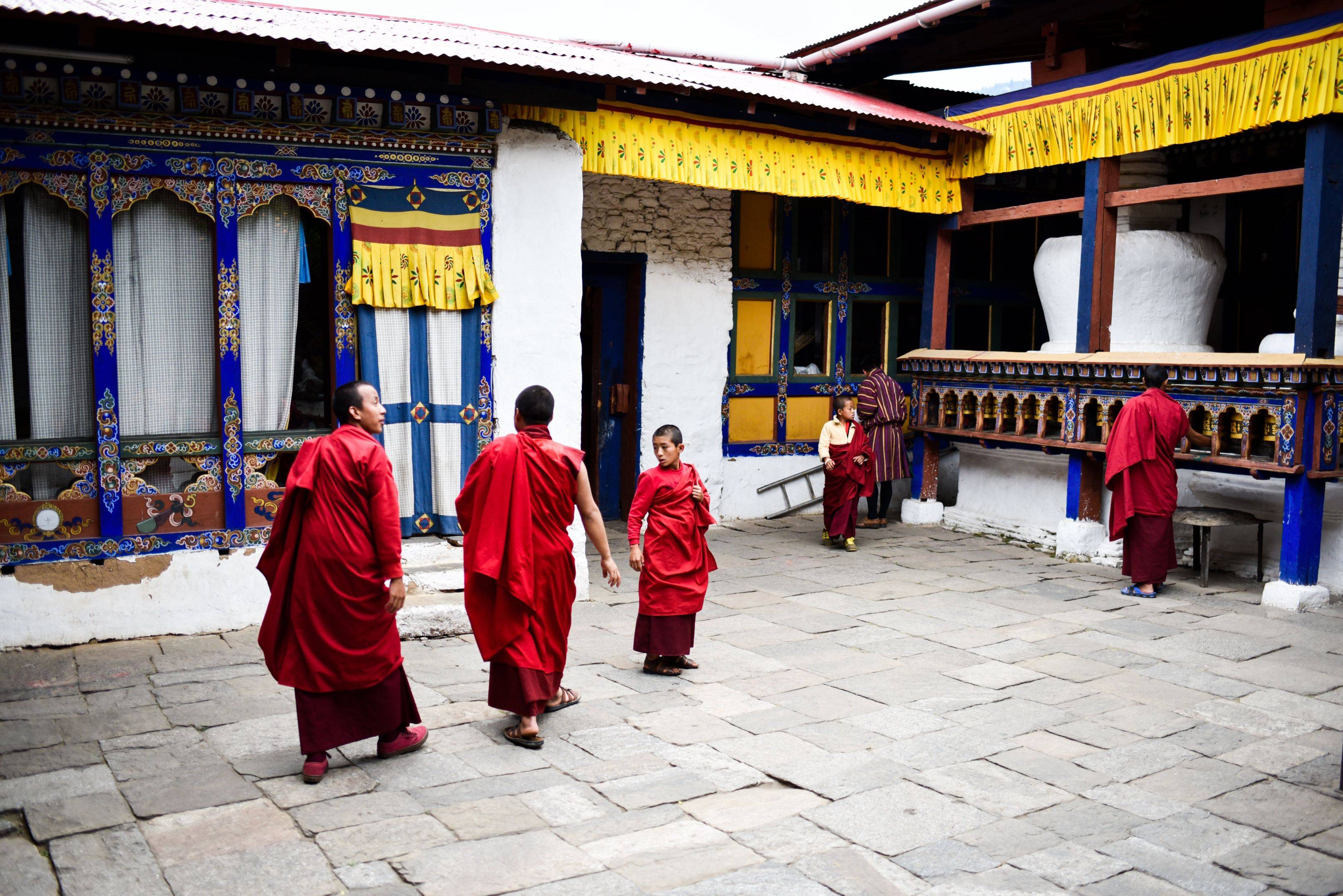Tappa Wangdi - Thimphu