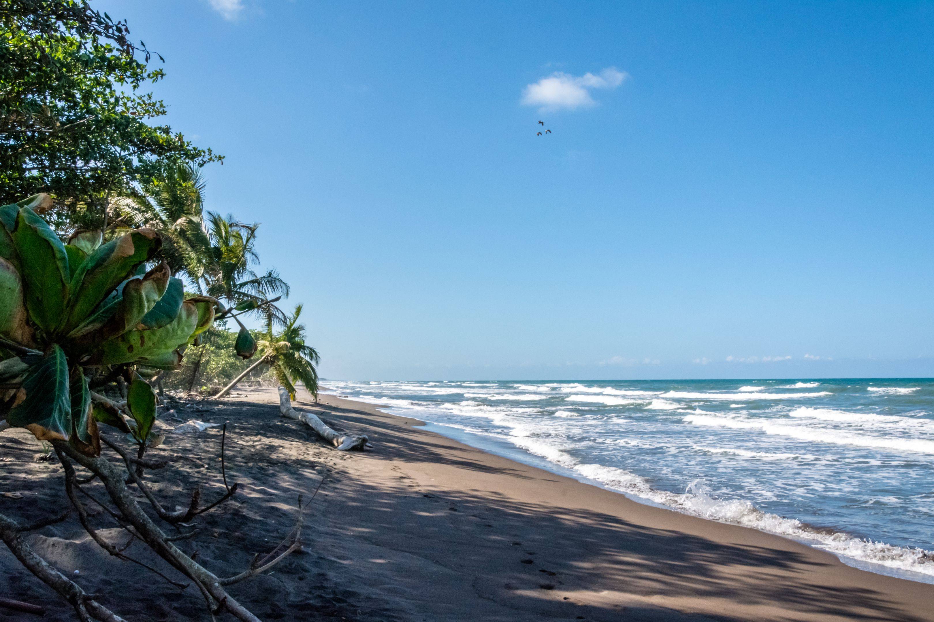 Verso le lussureggianti spiagge del Caribe