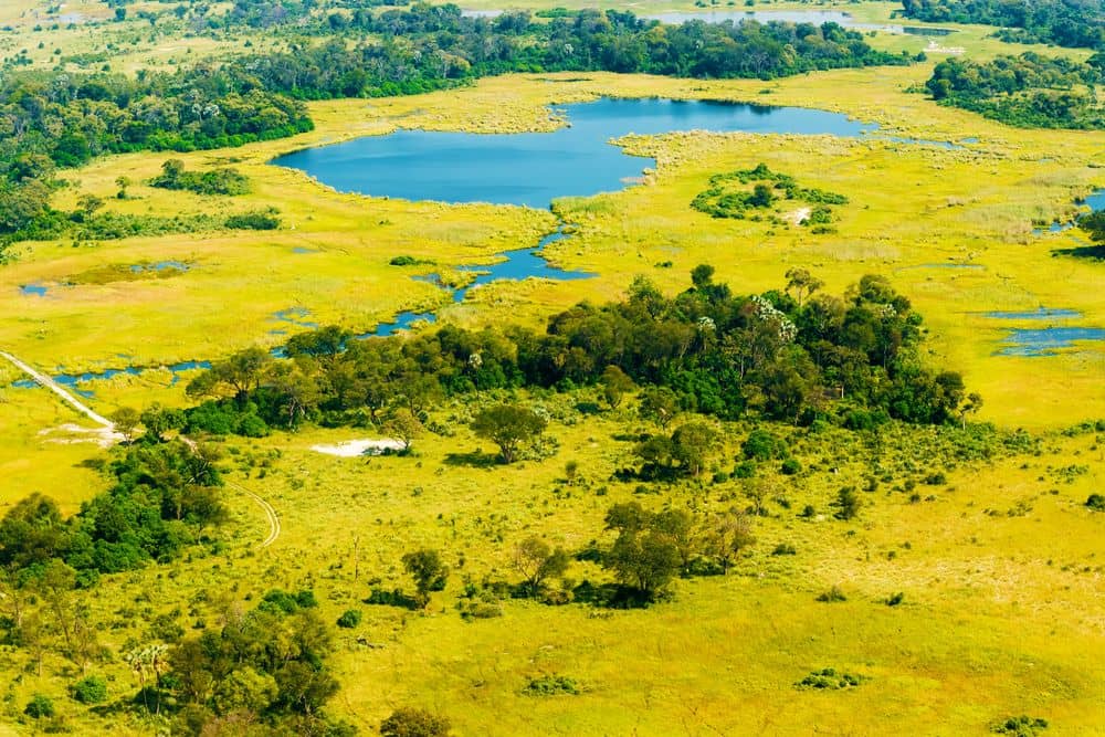 Ankunft in Maun und Transfer zum Okavango Delta 