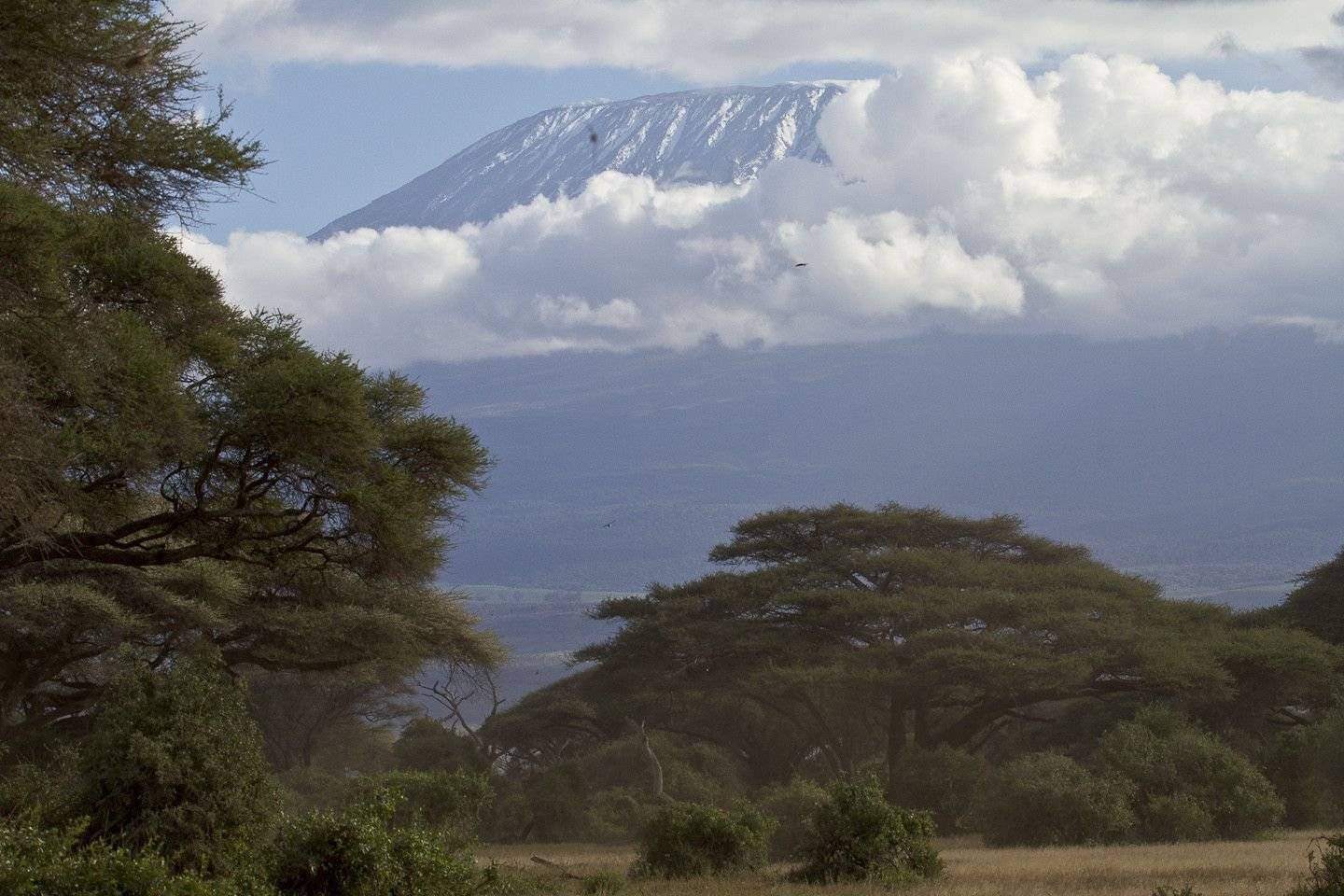 Verso il Kilimanjaro
