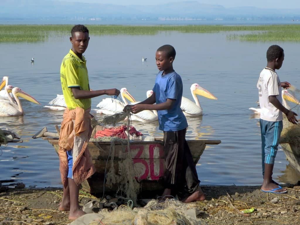 Marché aux poissons de Hawassa transfert Goba