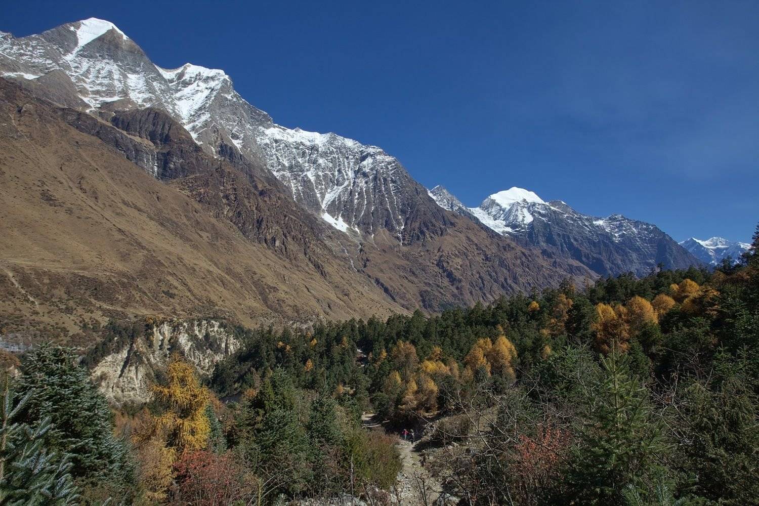 
Ab ins Himalaya-Dorf Namrung