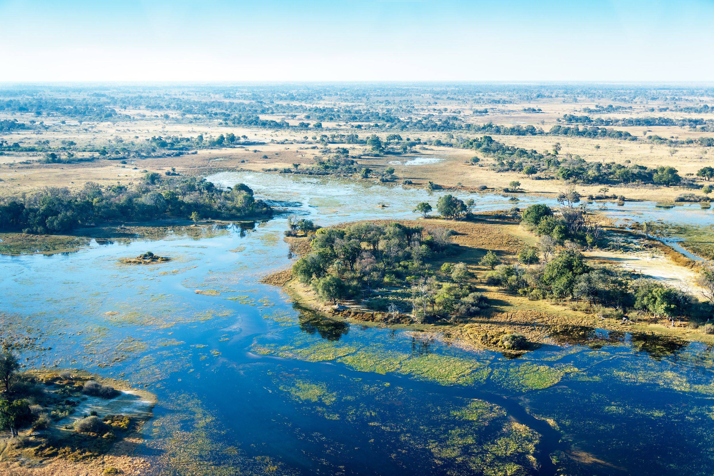 Das Okavango Delta zu Fuß erkunden 