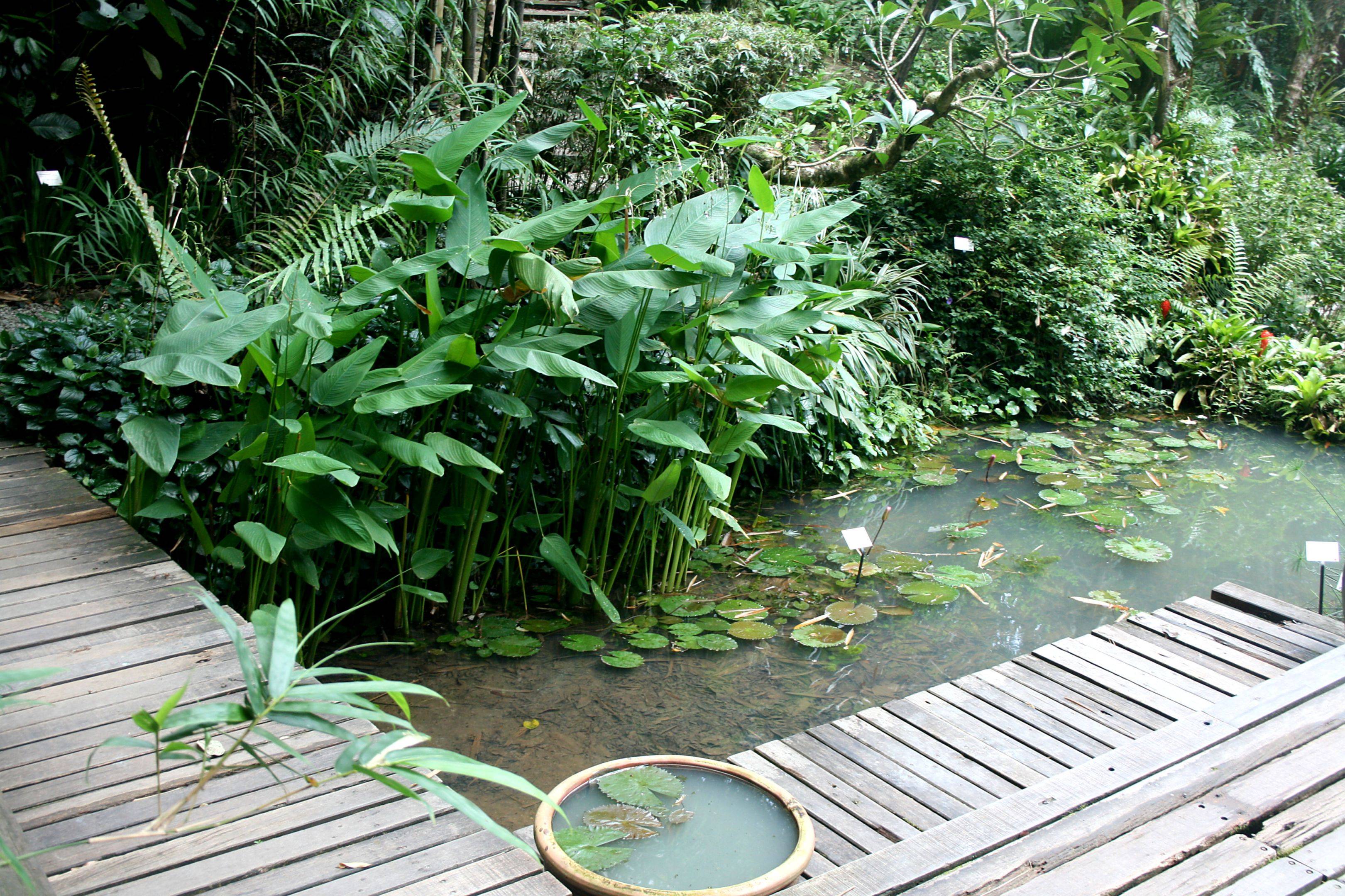 Visita del Jardín Tropical Spice Garden