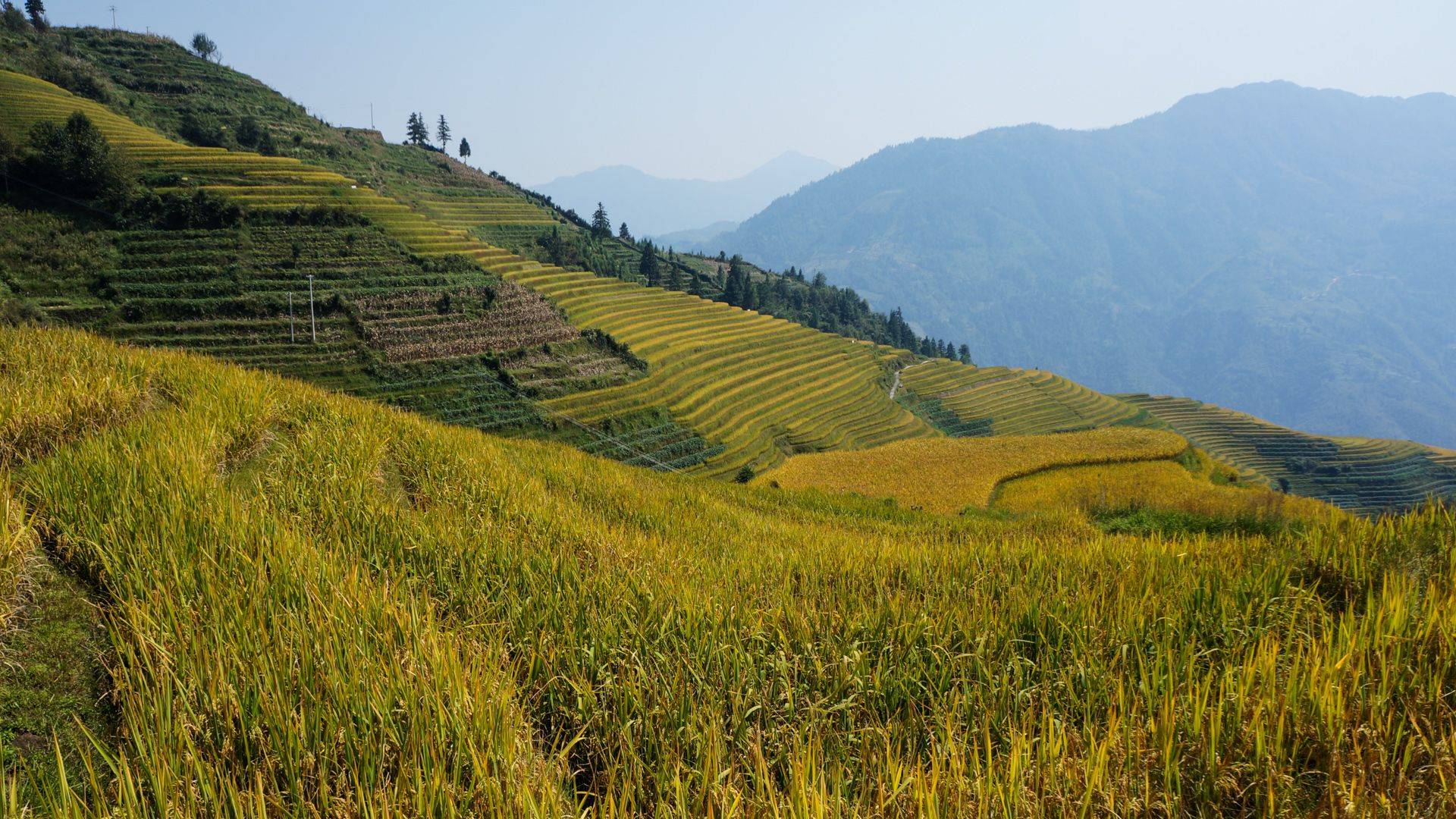Route des rizières de Longji et village de Ping'an 