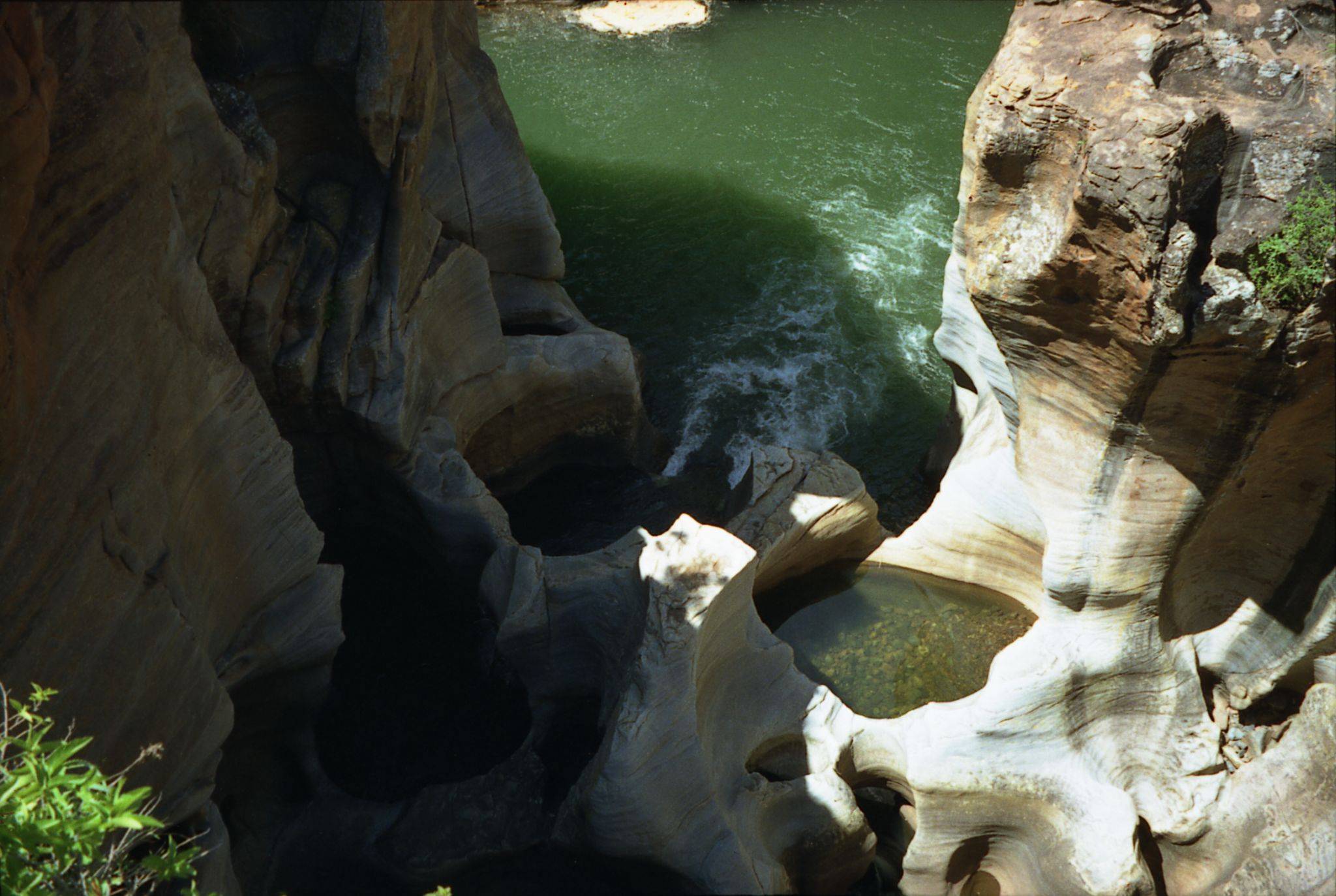 Canyon de la rivière Blyde et animaux du Limpopo