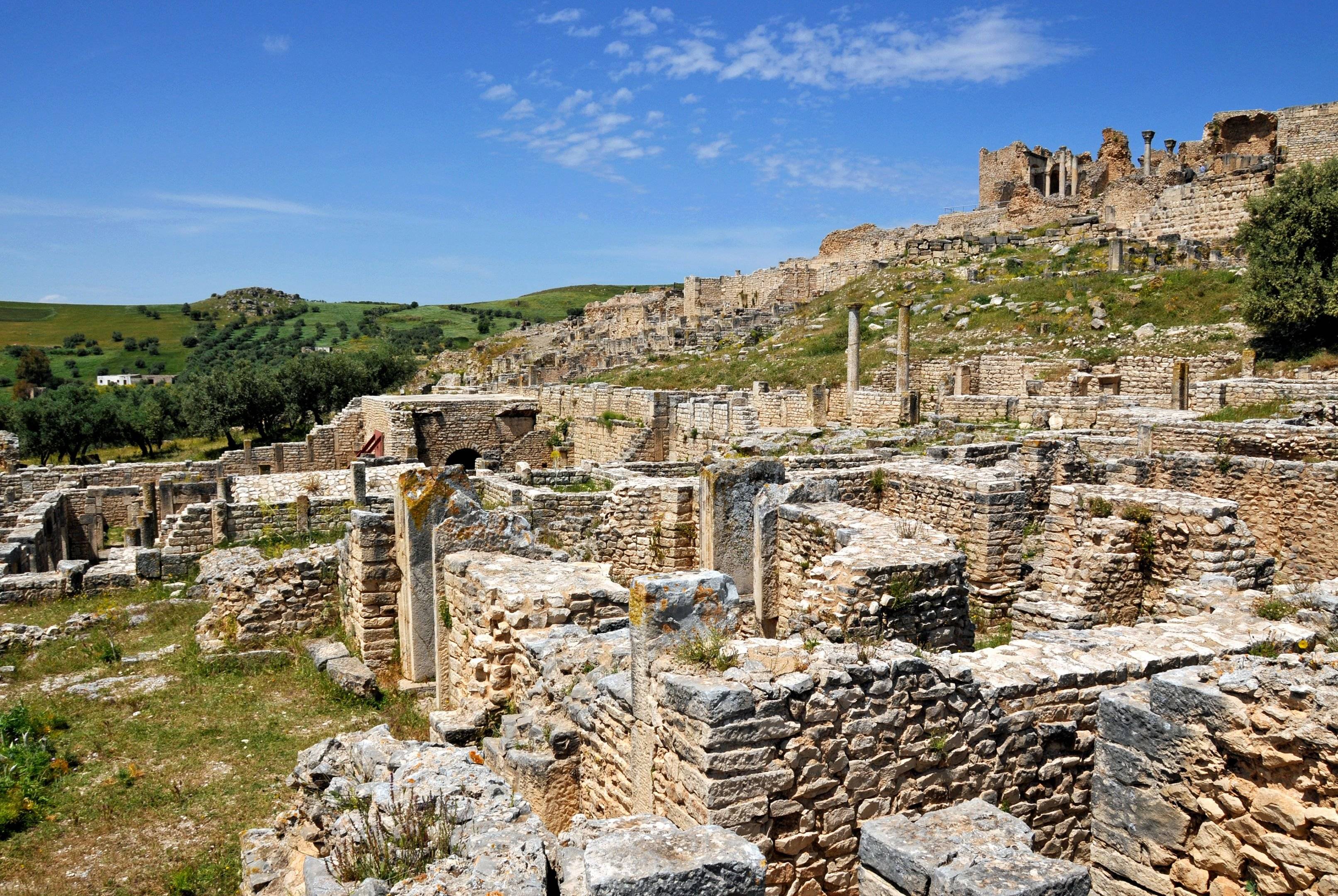 Visita dei siti archeologici di Bulla Regia e Dougga 