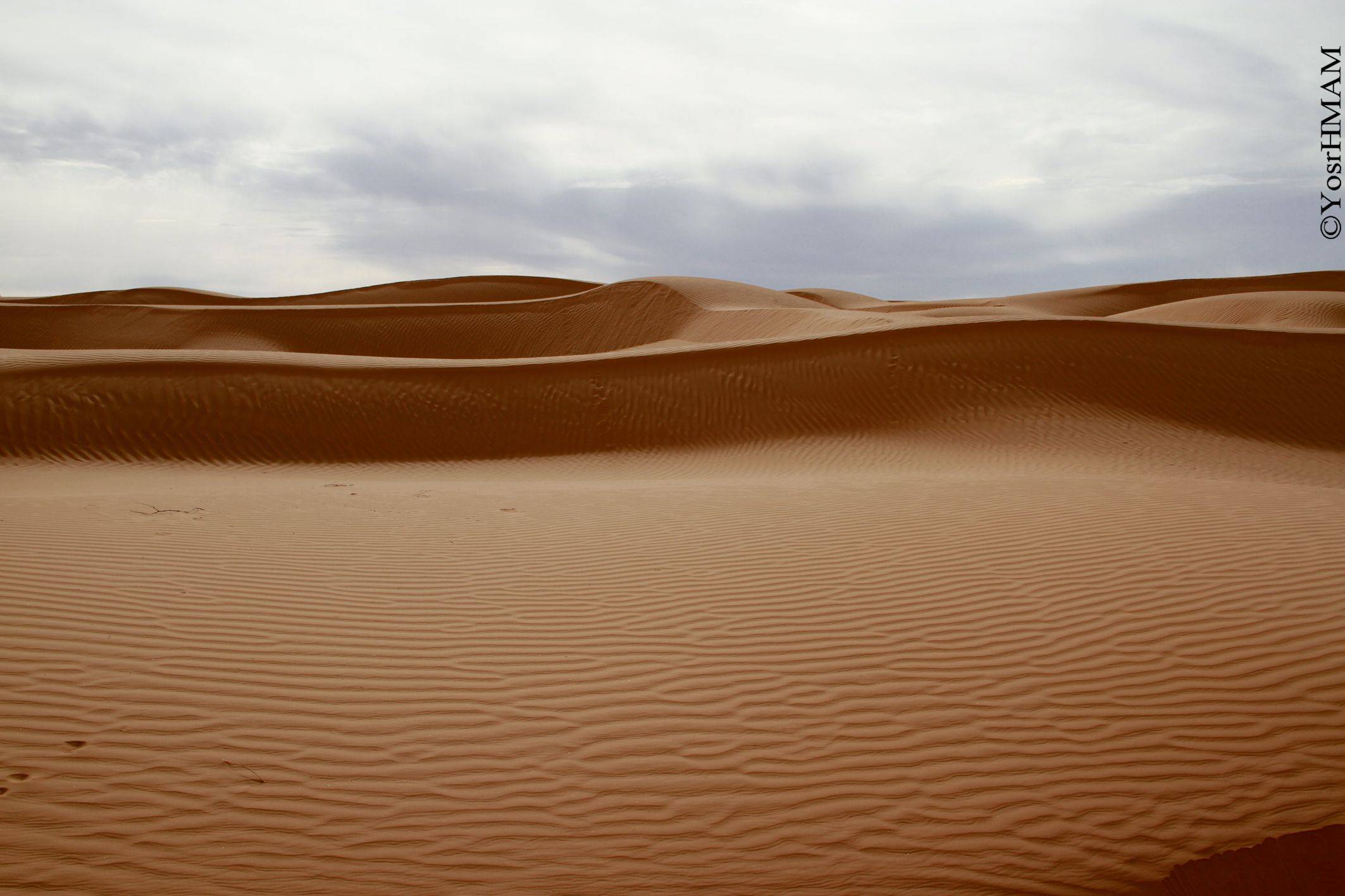 Verso il deserto di Douz