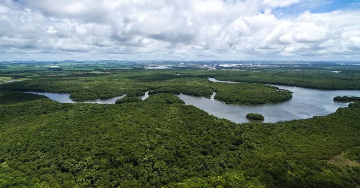 Direction Manaus : la porte d'entrée de l'Amazonie