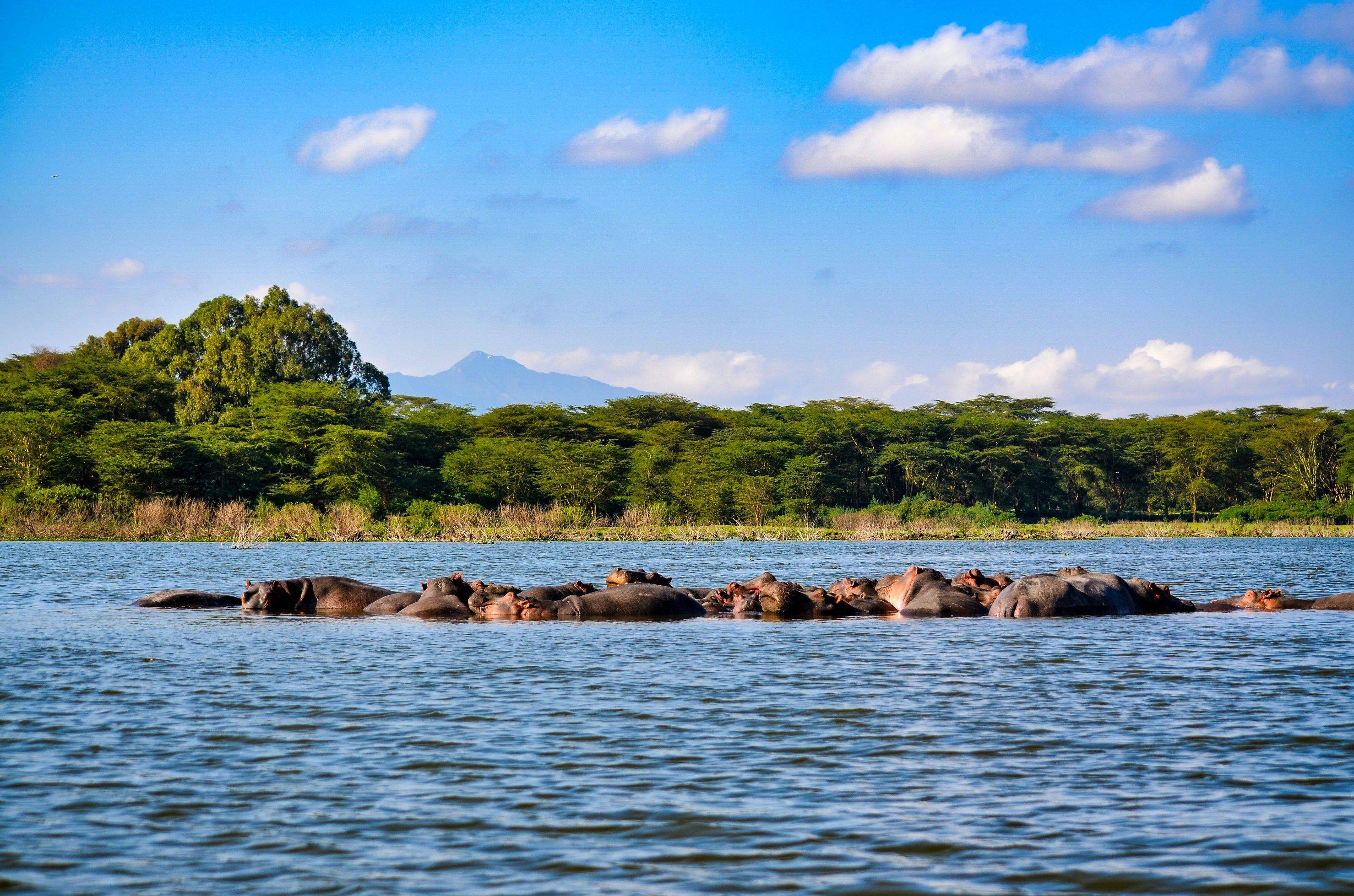 Départ de Samburu pour le Parc National du lac Nakuru