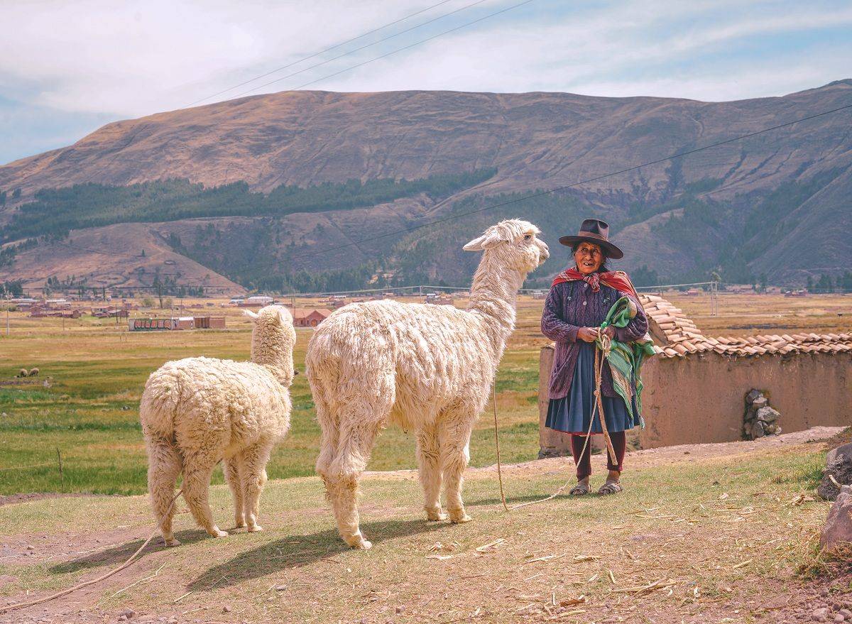 Découverte de l’Altiplano entre Puno et Cusco