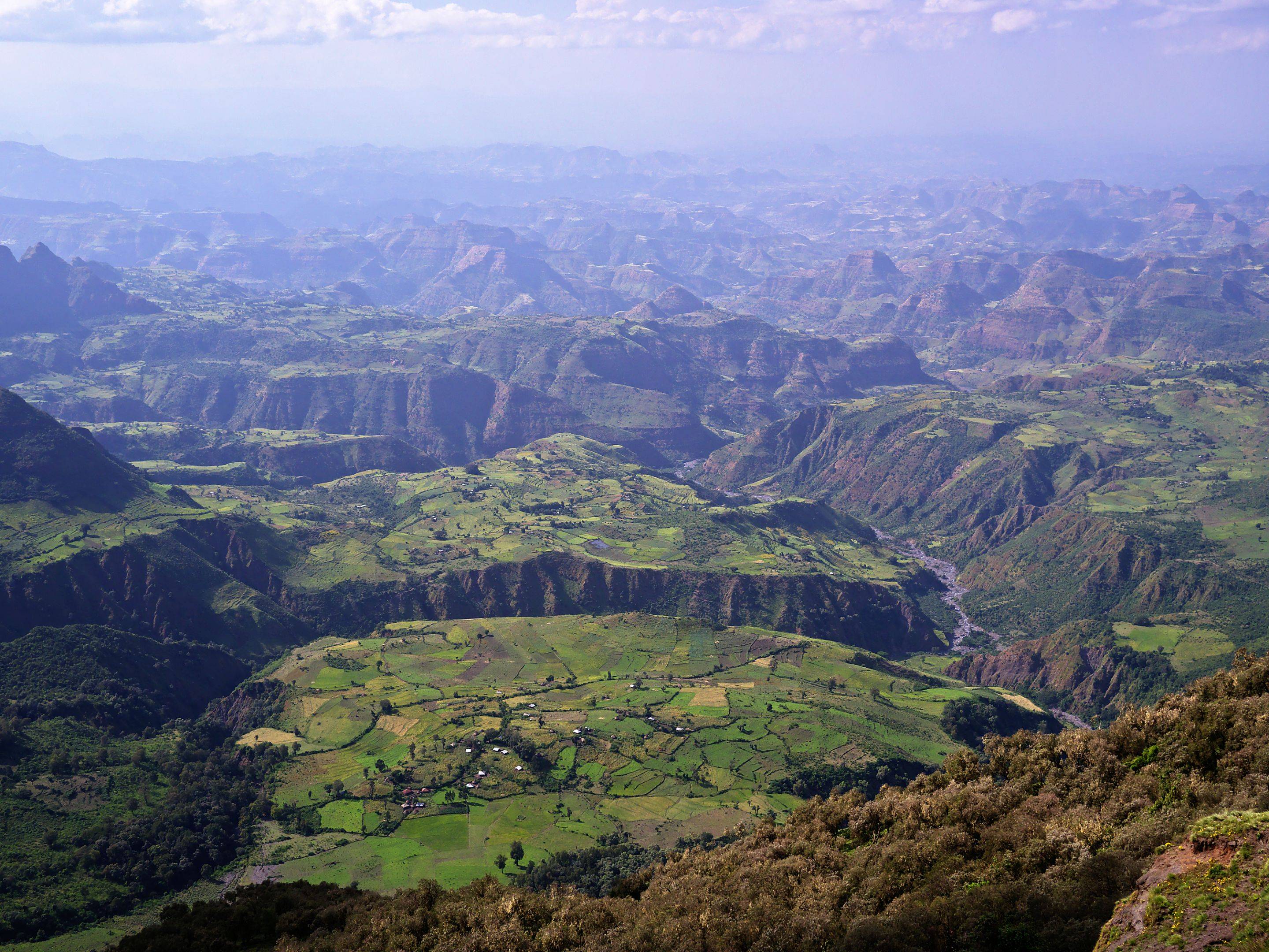 I monti più alti dell'Etiopia e le scimmie Gelada
