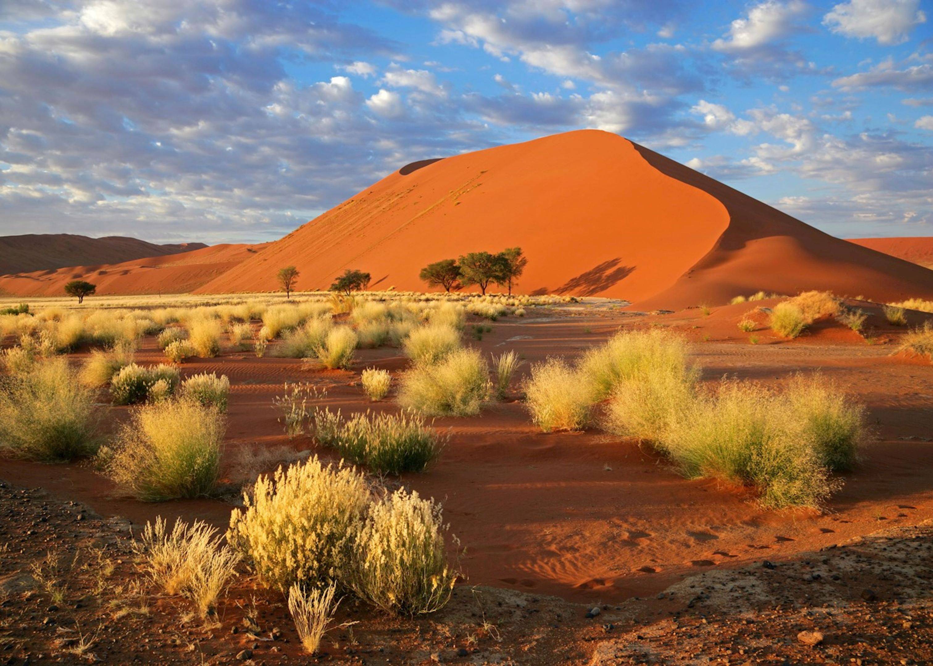 Attraverso il deserto del Namib
