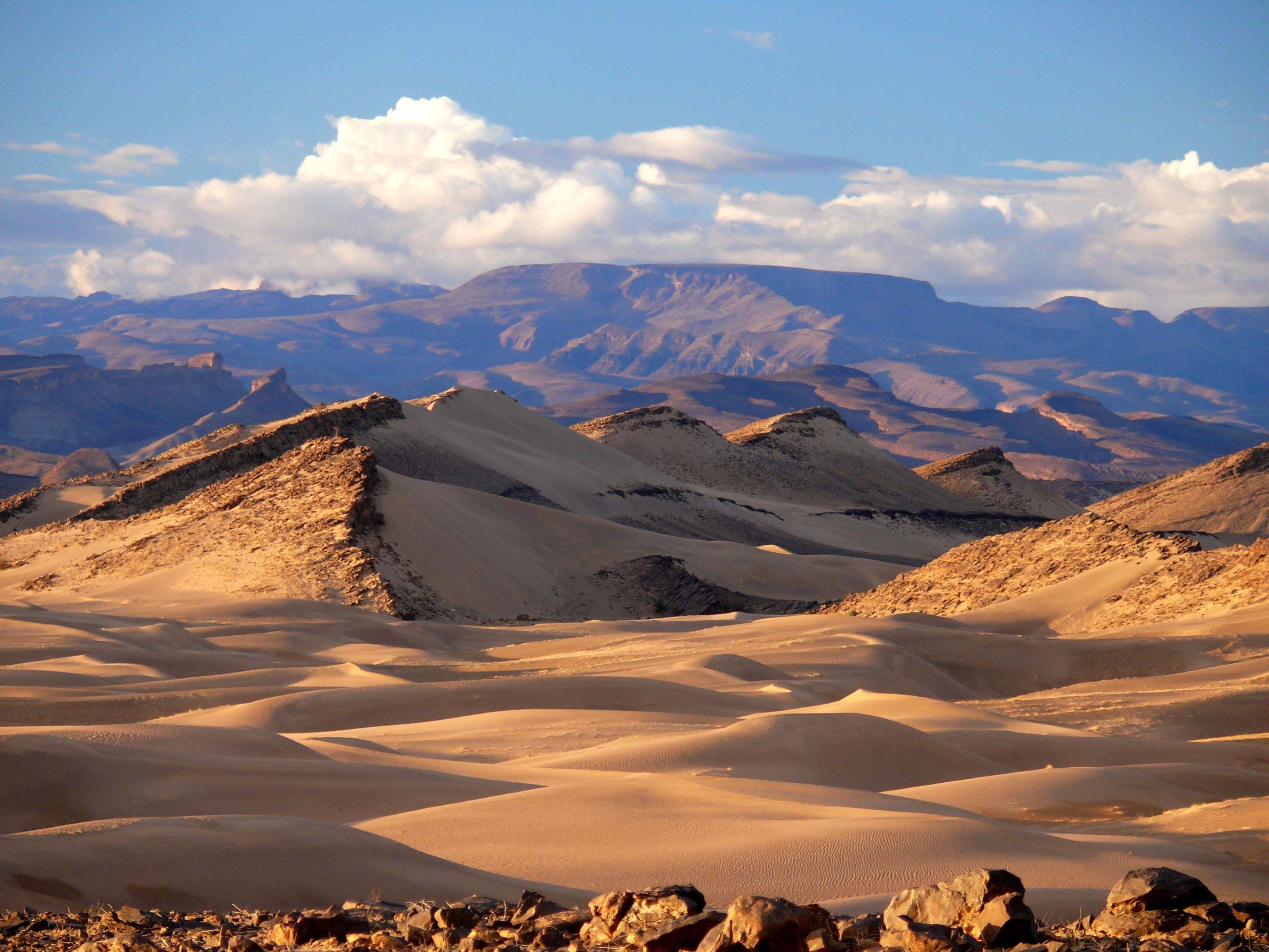 Le dune di Foum Tizza