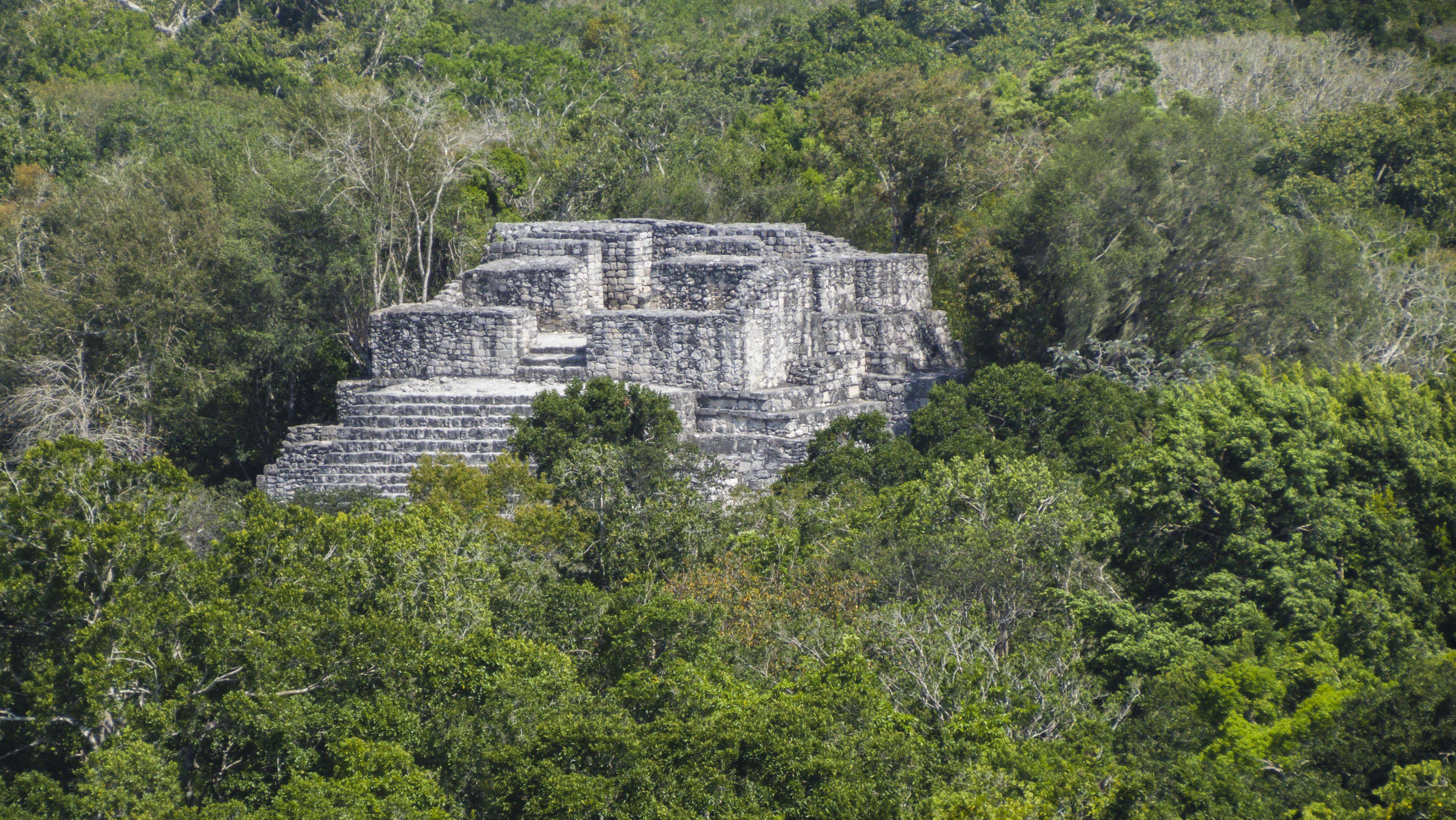 Calakmul, la storia immersa nella natura