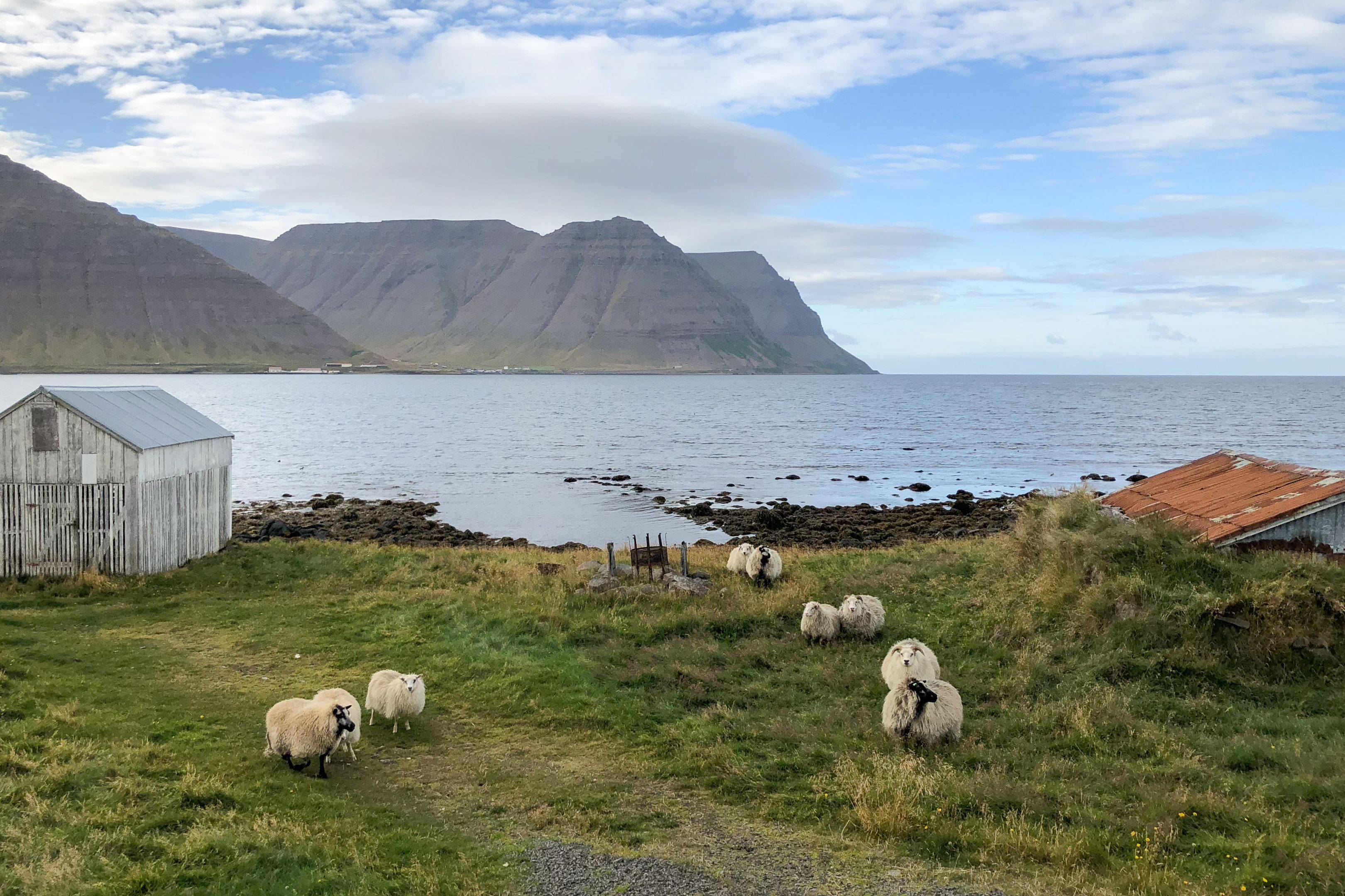 Ísafjörður e il versante nord dei fiordi occidentali
