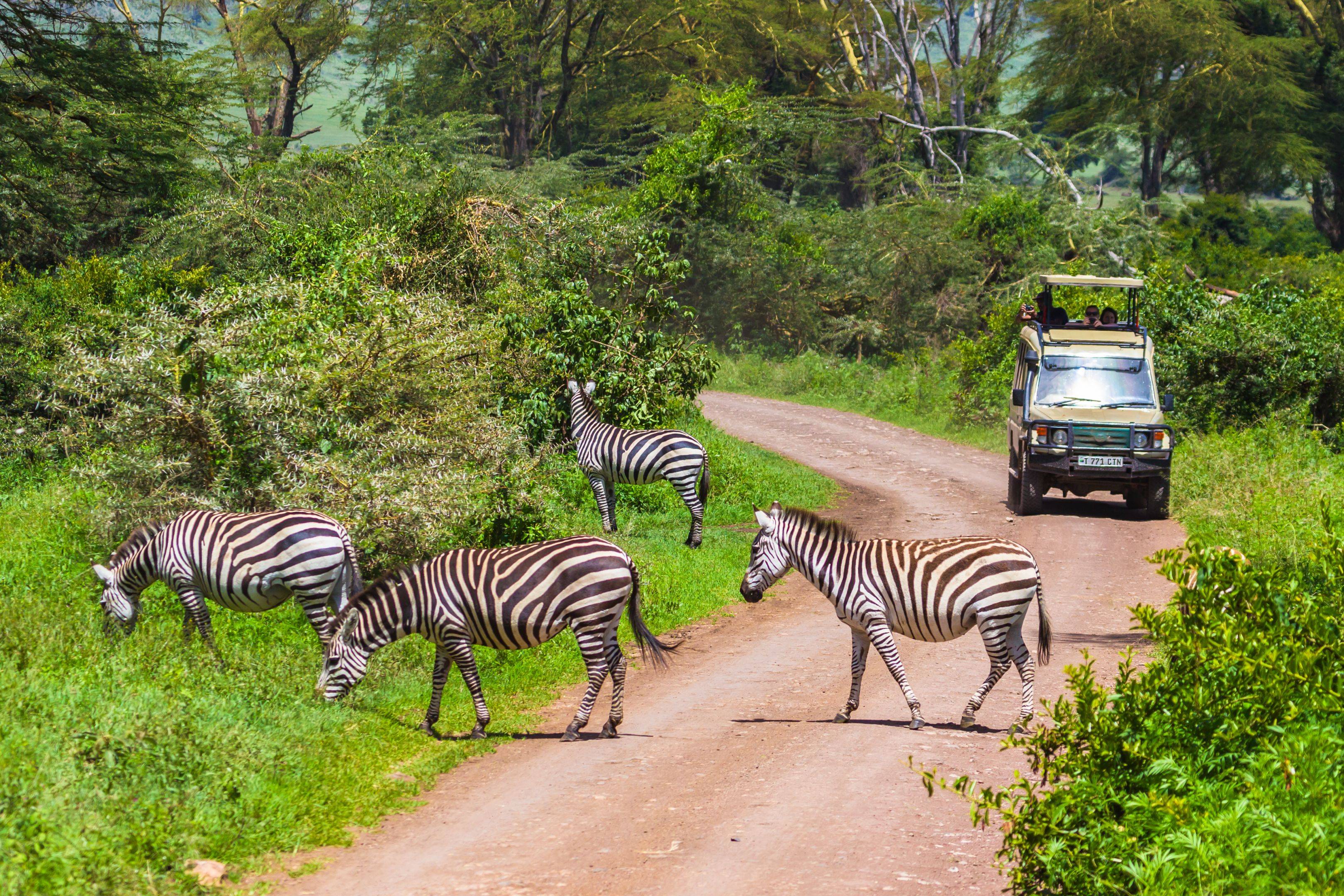 Bezoek aan: Arusha Nationaal Park