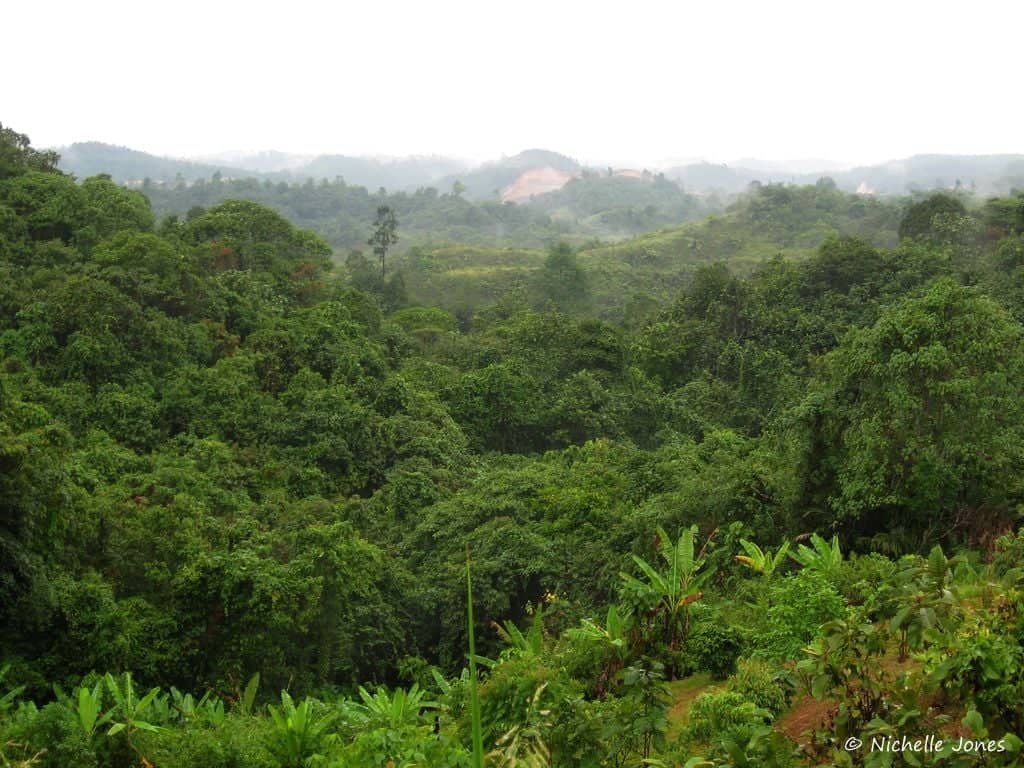 La selva tropical de Rimba Panti y los pueblos de ​Minangkabau