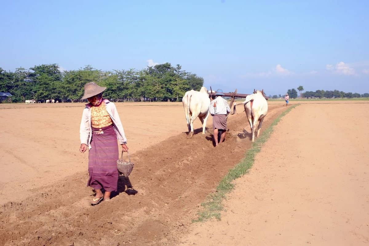 Les artisans de l'Irrawaddy