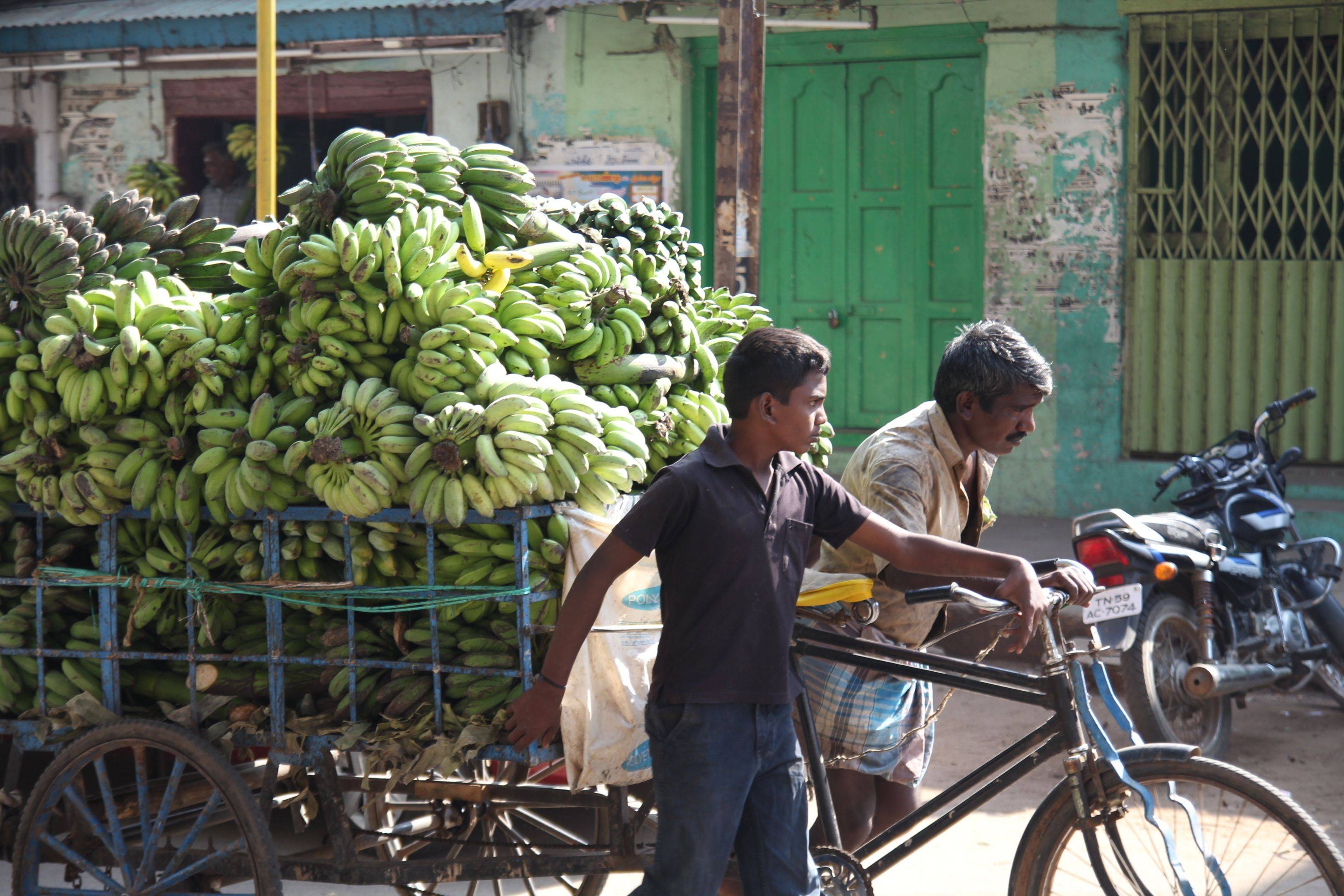Fietsrickshaw tour door Madurai