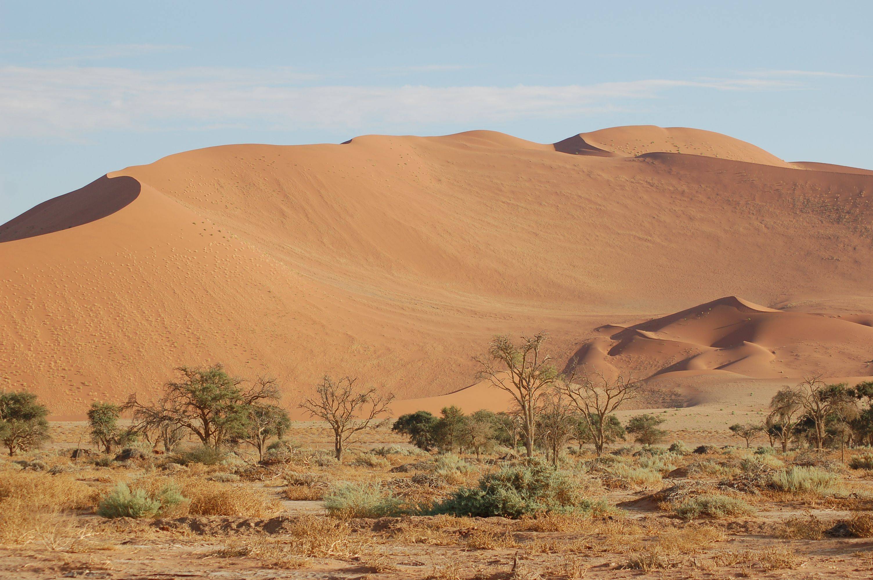 Le dune di Sossusvlei