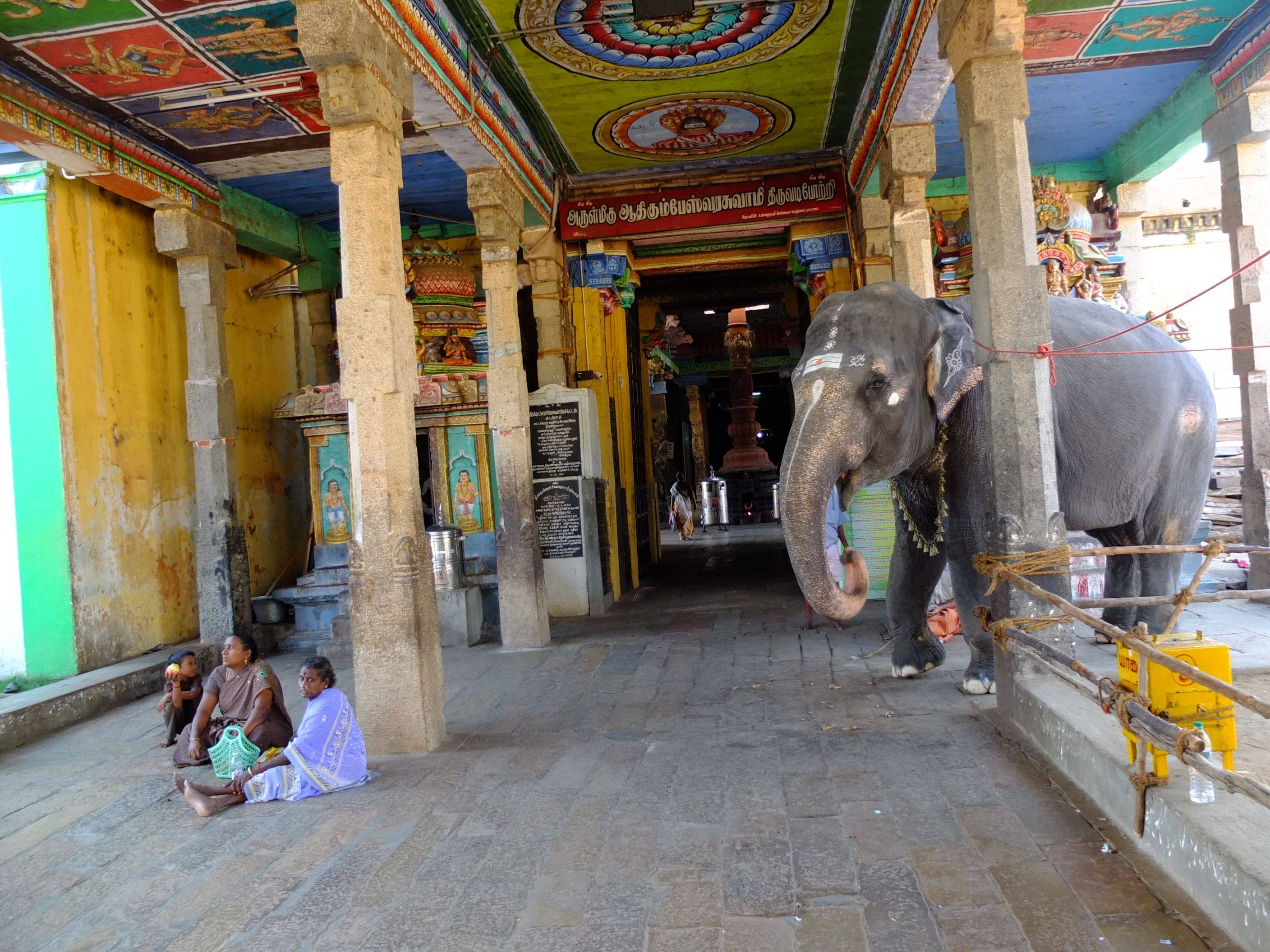 Les temples de Kumbakonam