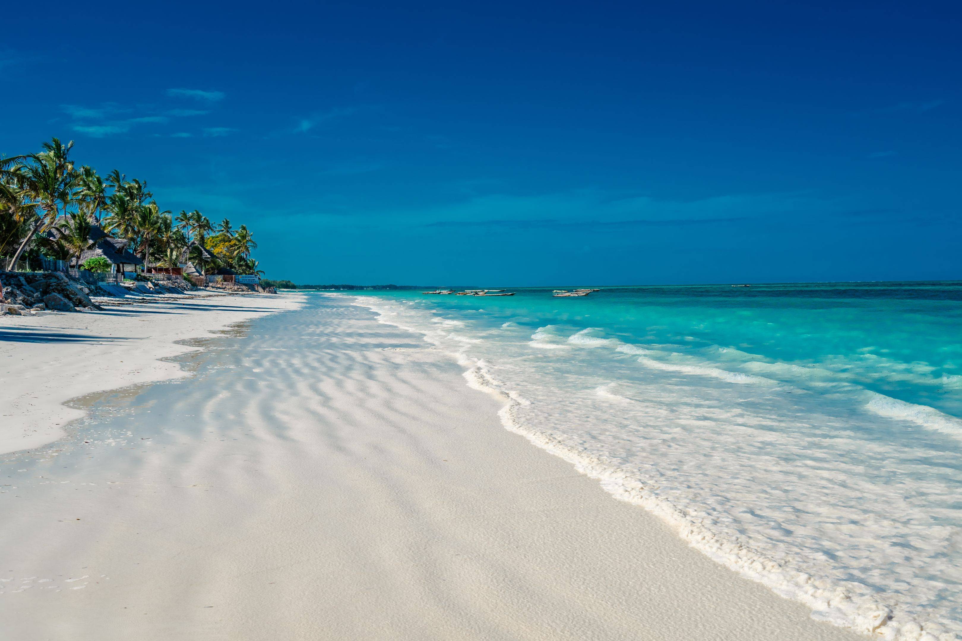 Tropische stranden in Zanzibar