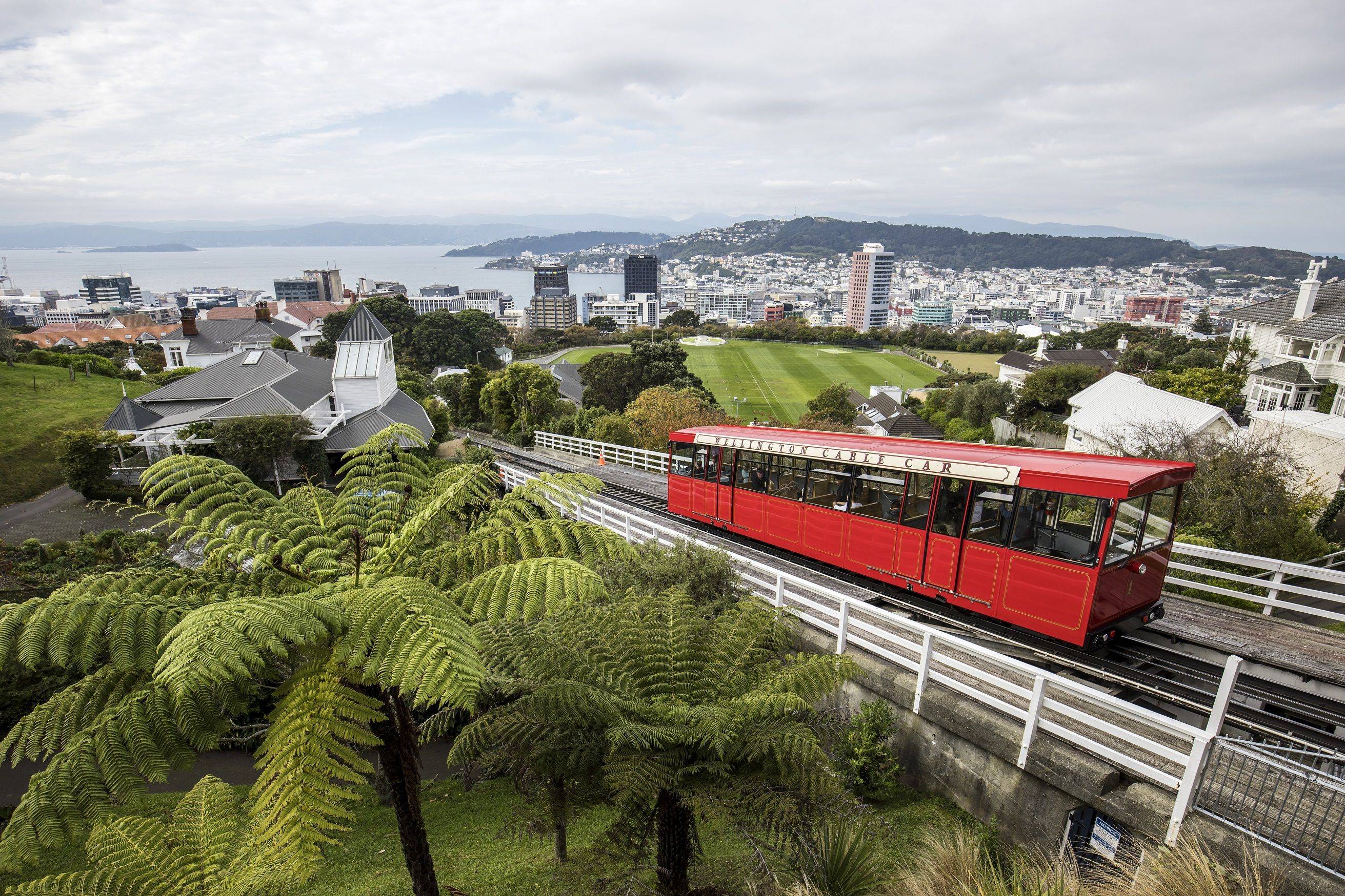 Wellington, la compacta y encantadora capital neozeolandesa 