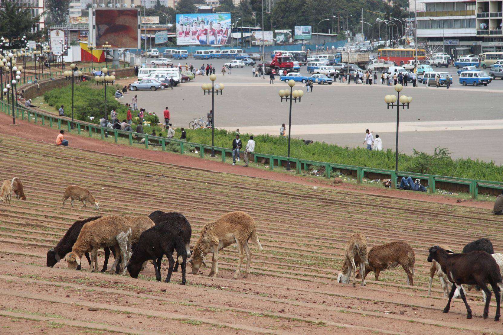 Ankunft in Addis Abeba und Stadtrundfahrt
