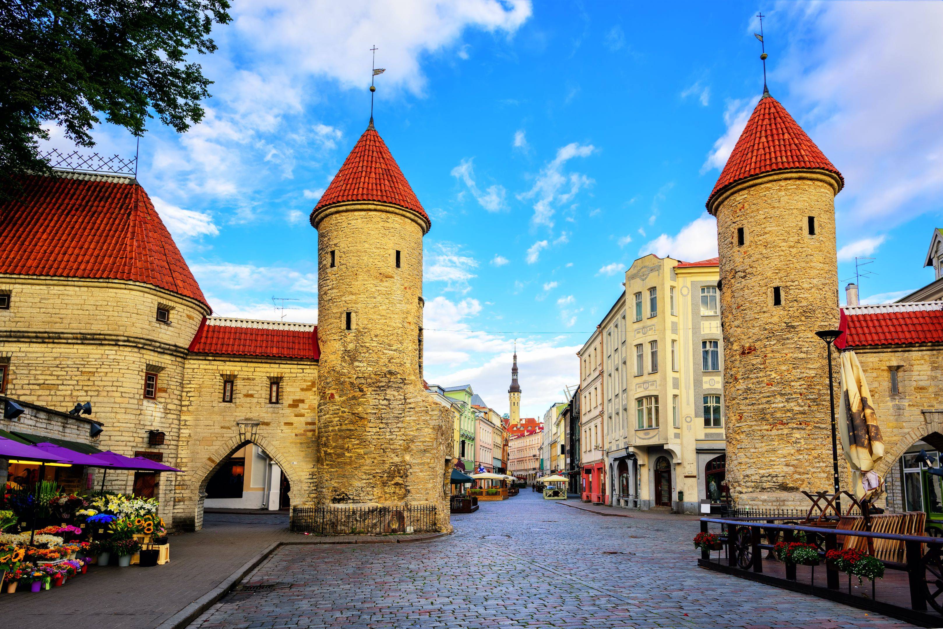 Tallin, la ciudad medieval