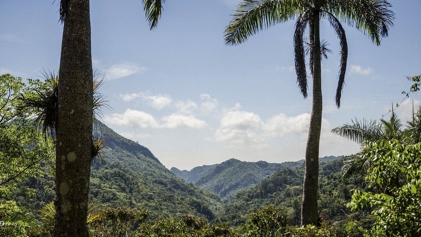 Wanderung in den Tropenwäldern der Berge Topes de Collantes 