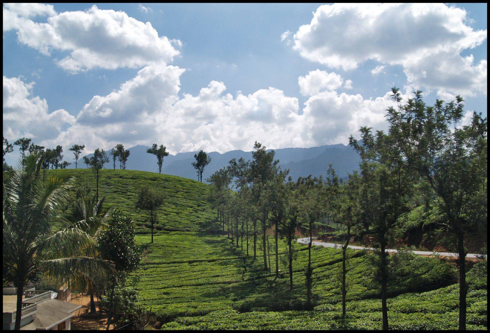 Dans les collines du Kerala