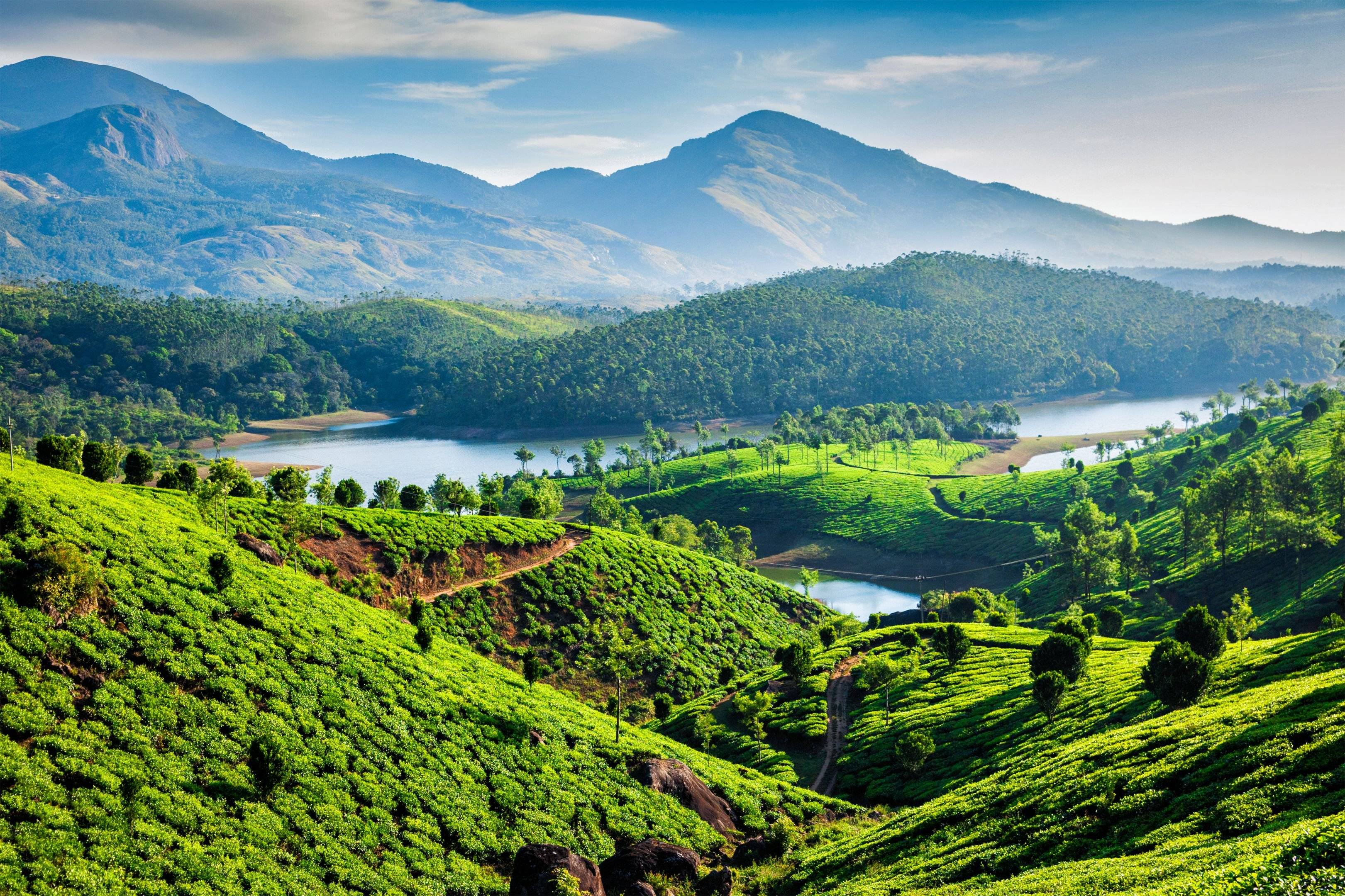 Reise nach Munnar, dem Reich der Teeplantagen