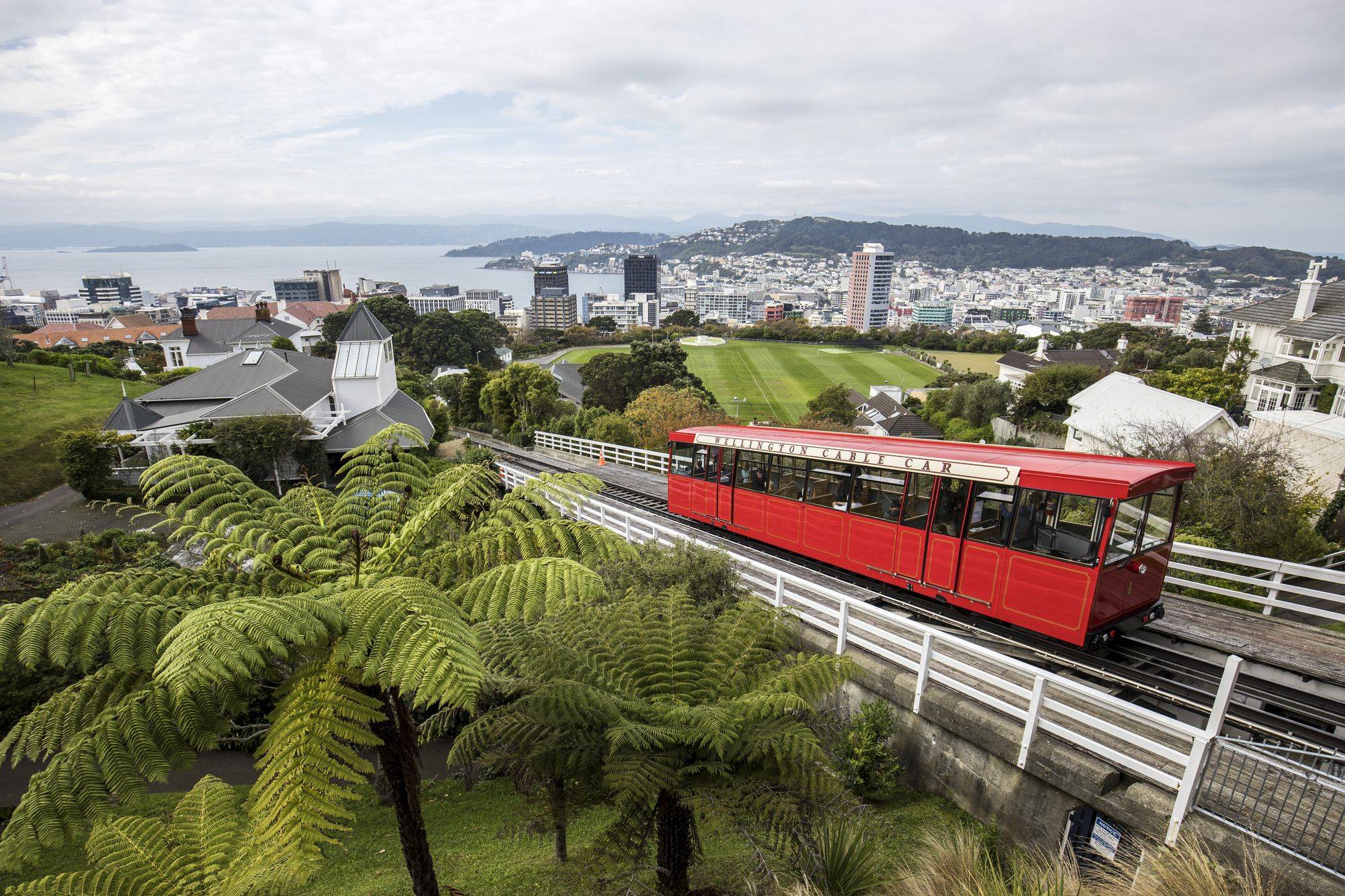 Wellington, capital deslumbrante y compacta