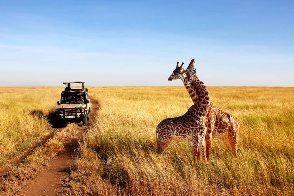 De rit naar de Ngorongoro Krater