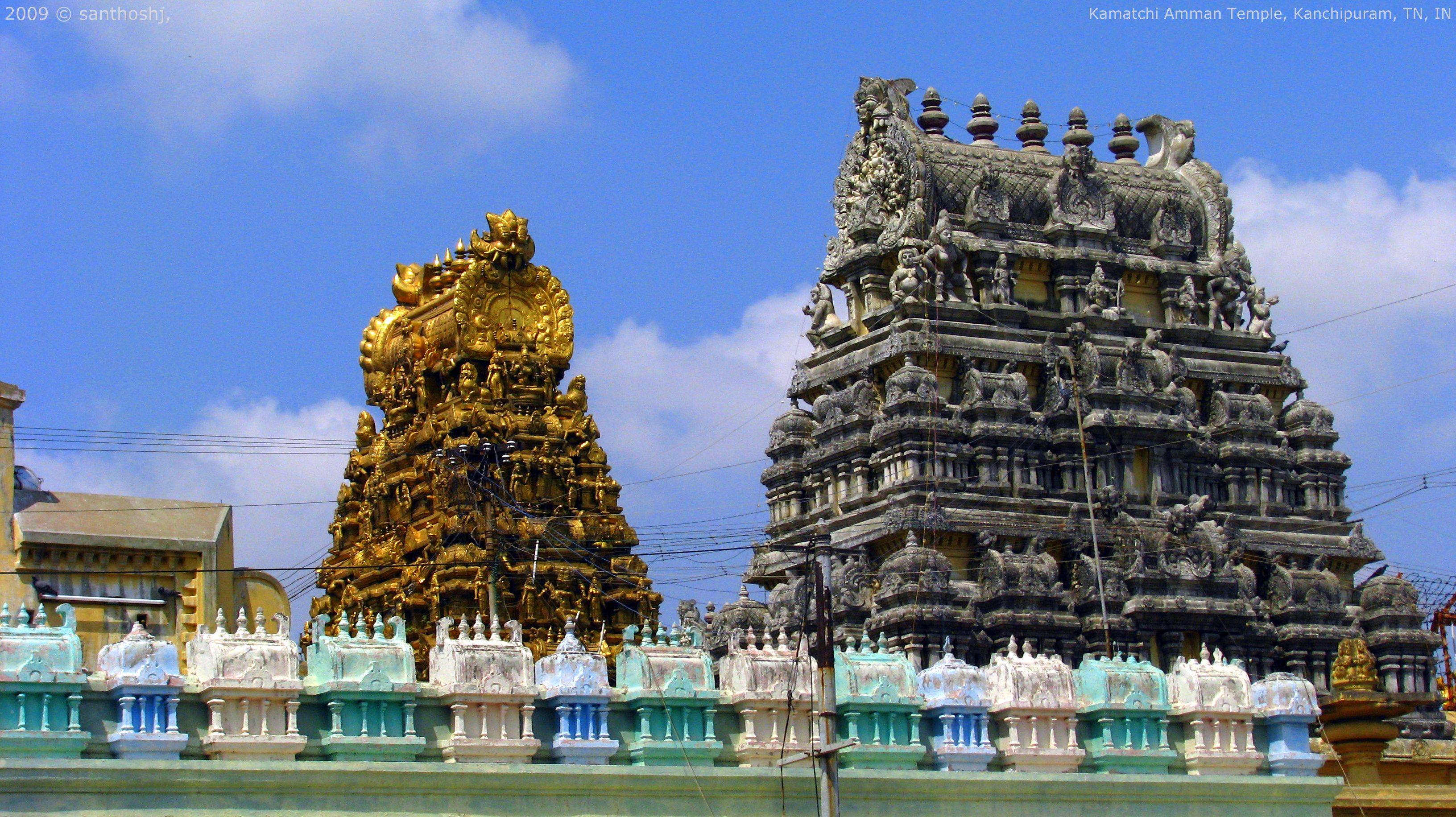 Le manguier de Kanchipuram