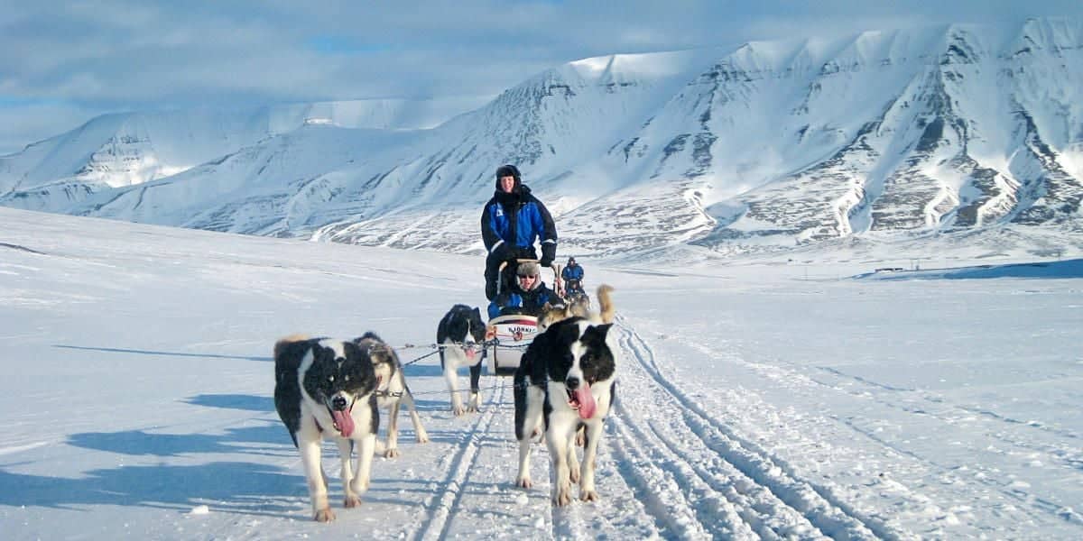 Escursione nelle grotte di ghiaccio e slitta trainata dagli husky